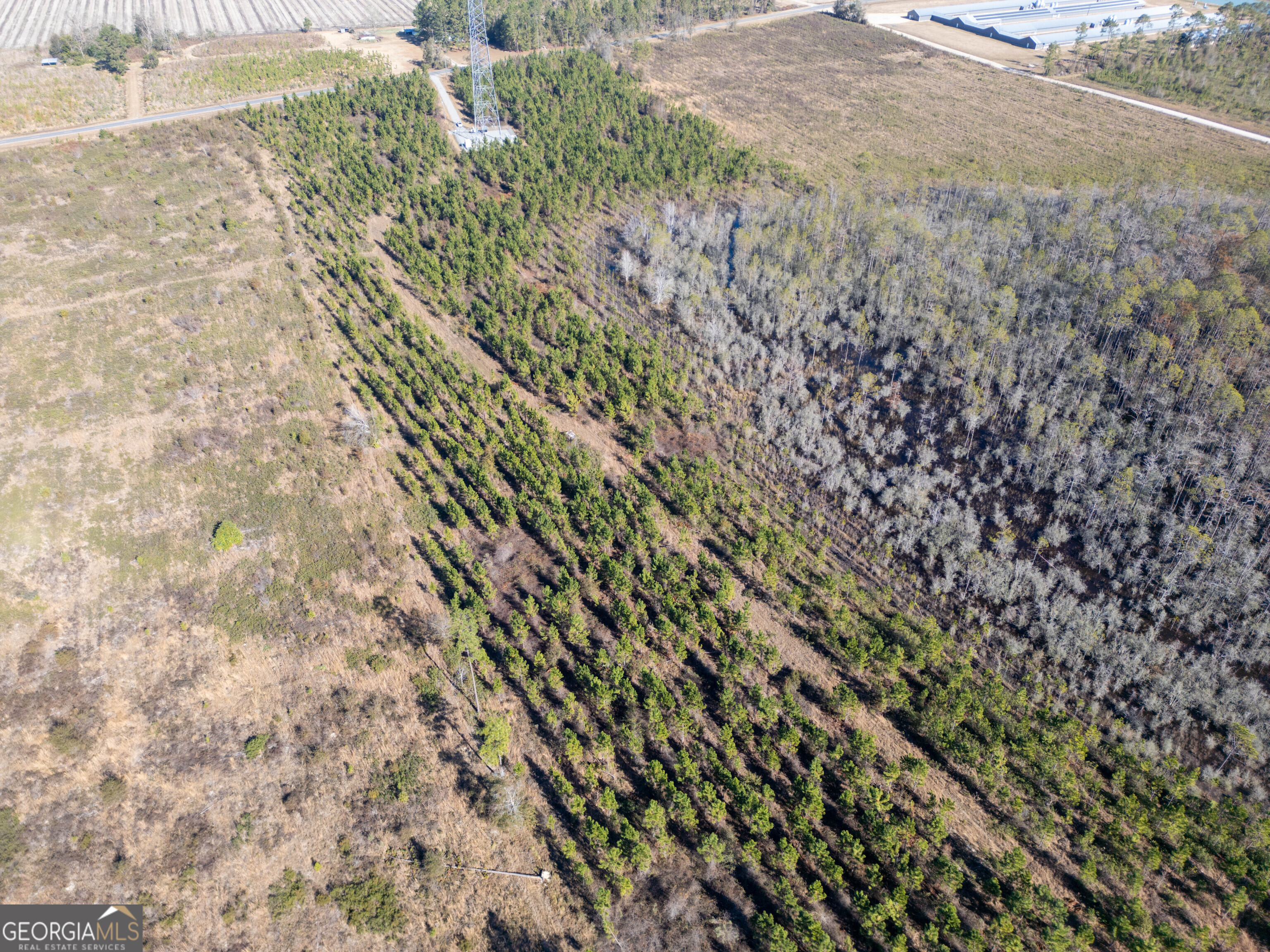 0 Piney Grove Church Road Property Photo 11
