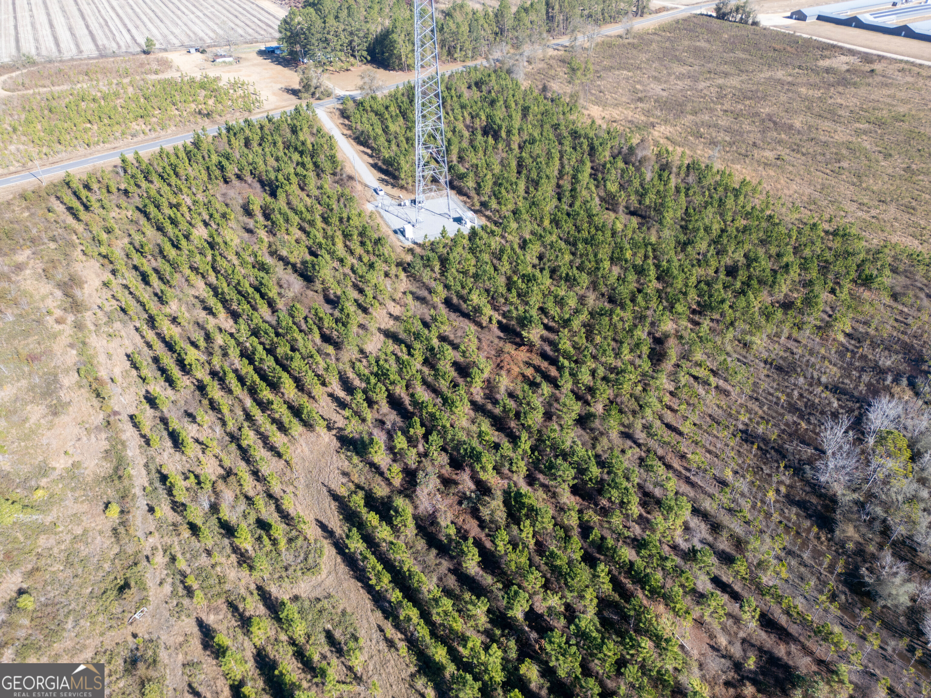 0 Piney Grove Church Road Property Photo 12