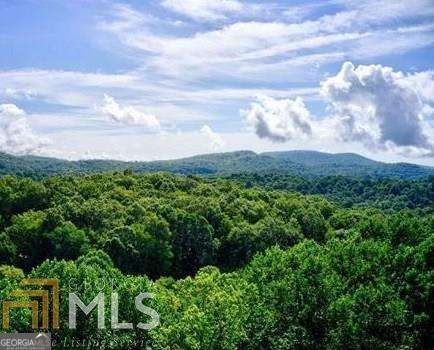 0 Brown Mountain Road Property Photo 1