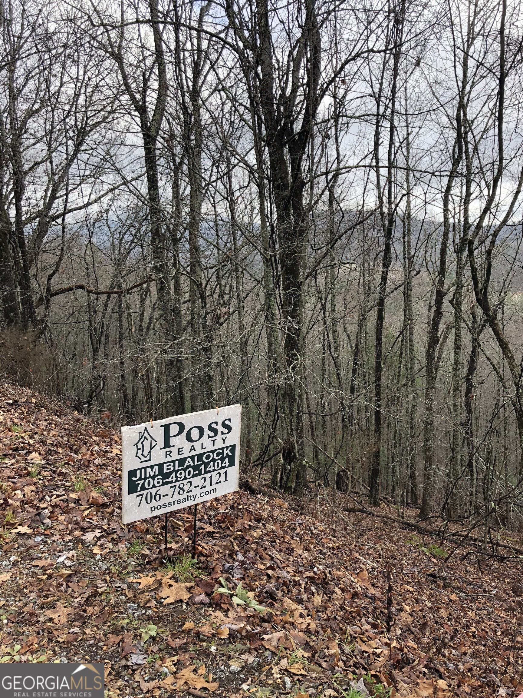 0 Brown Mountain Road Property Photo 2