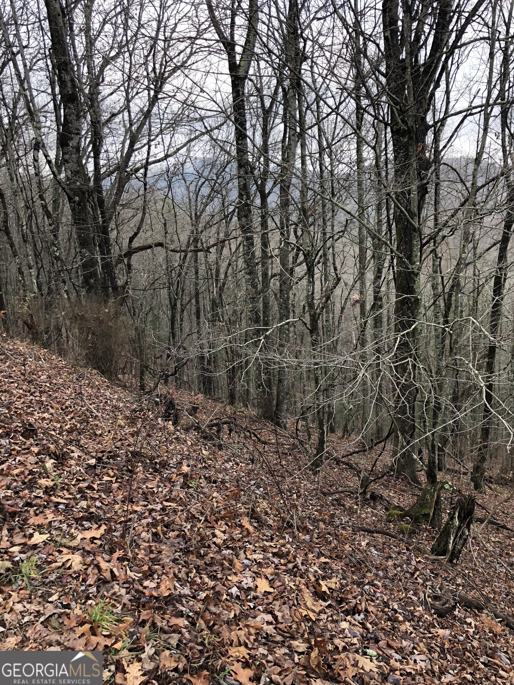 0 Brown Mountain Road Property Photo 3