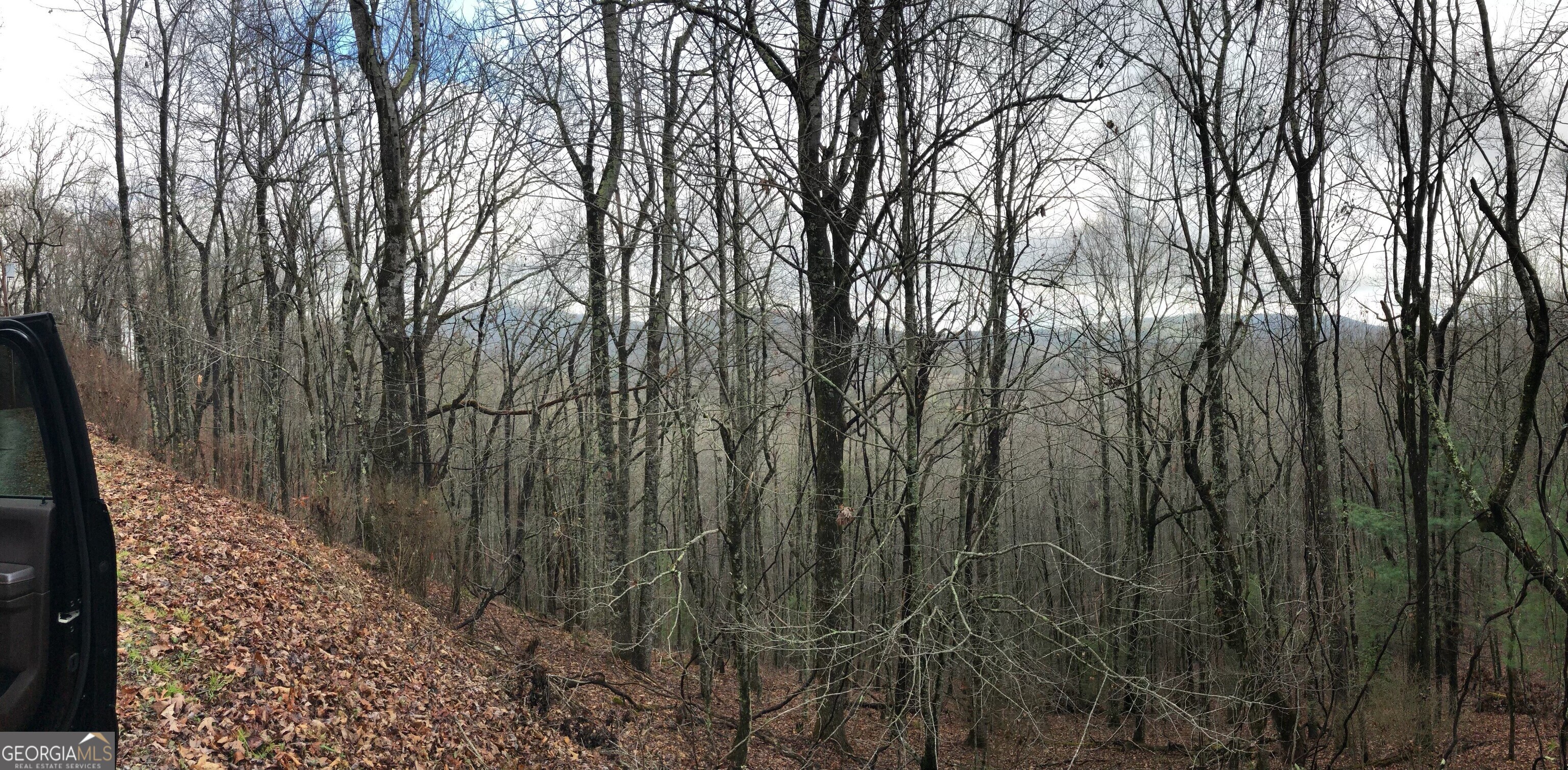 0 Brown Mountain Road Property Photo 3