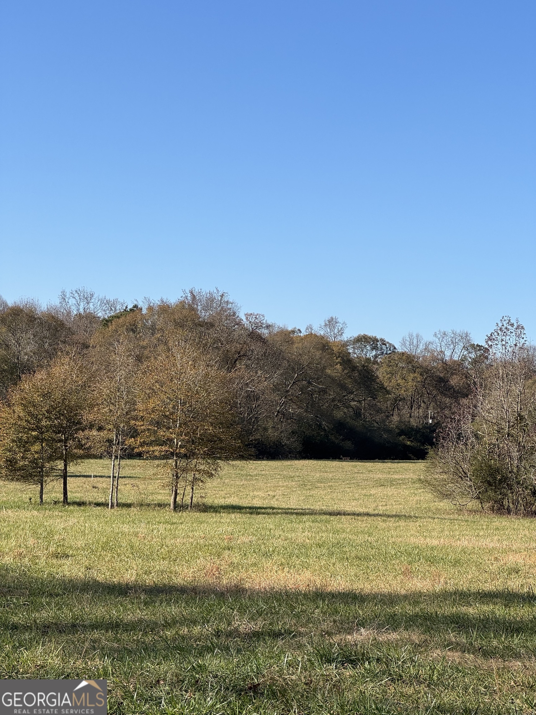 2025 Oakley Trail Property Photo 7