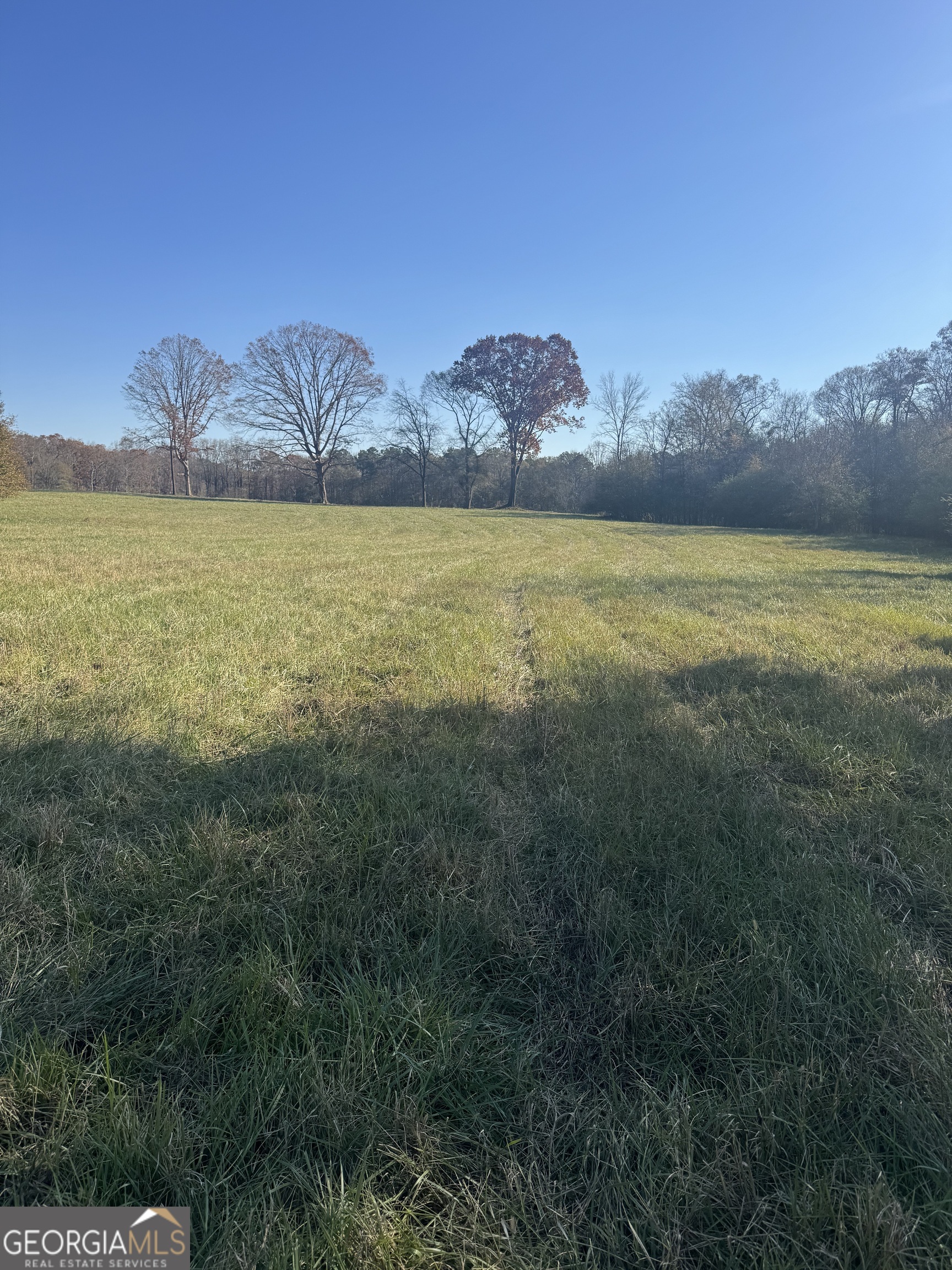 2025 Oakley Trail Property Photo 8