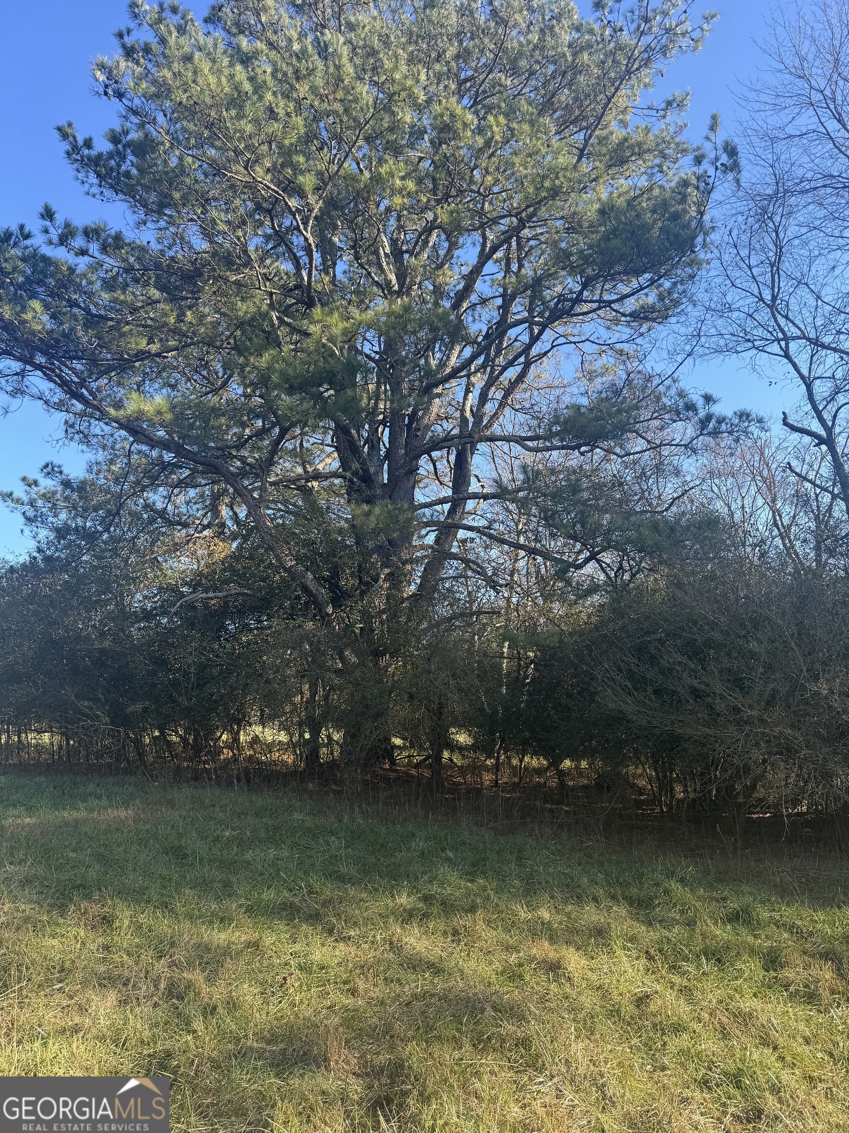 2025 Oakley Trail Property Photo 11