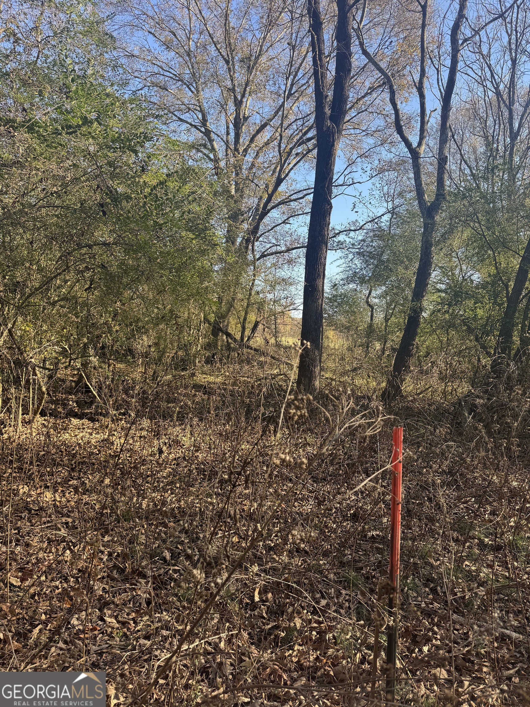 2025 Oakley Trail Property Photo 12