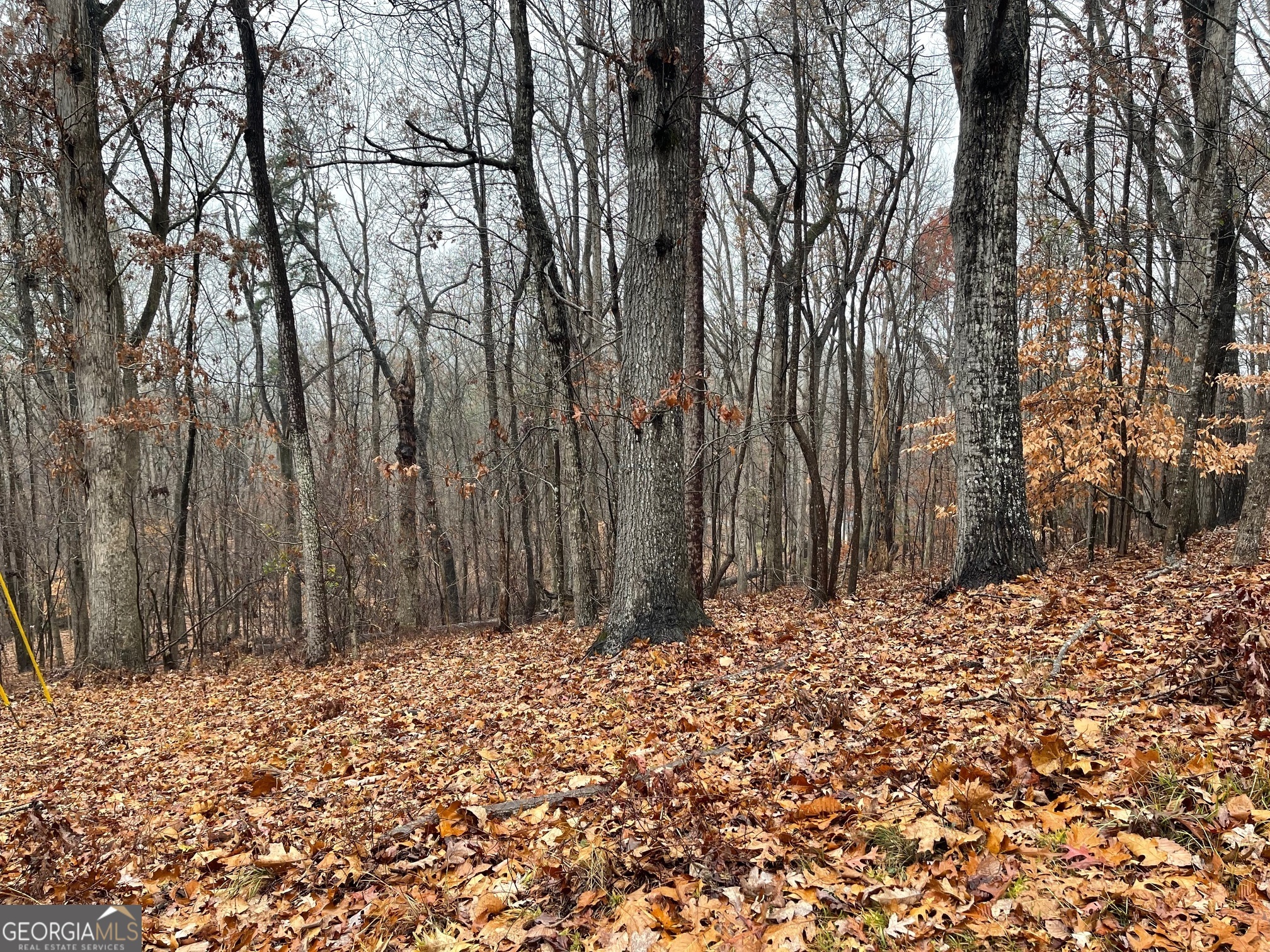 0 S Arrowhead Drive Lot 2134 Property Photo 3