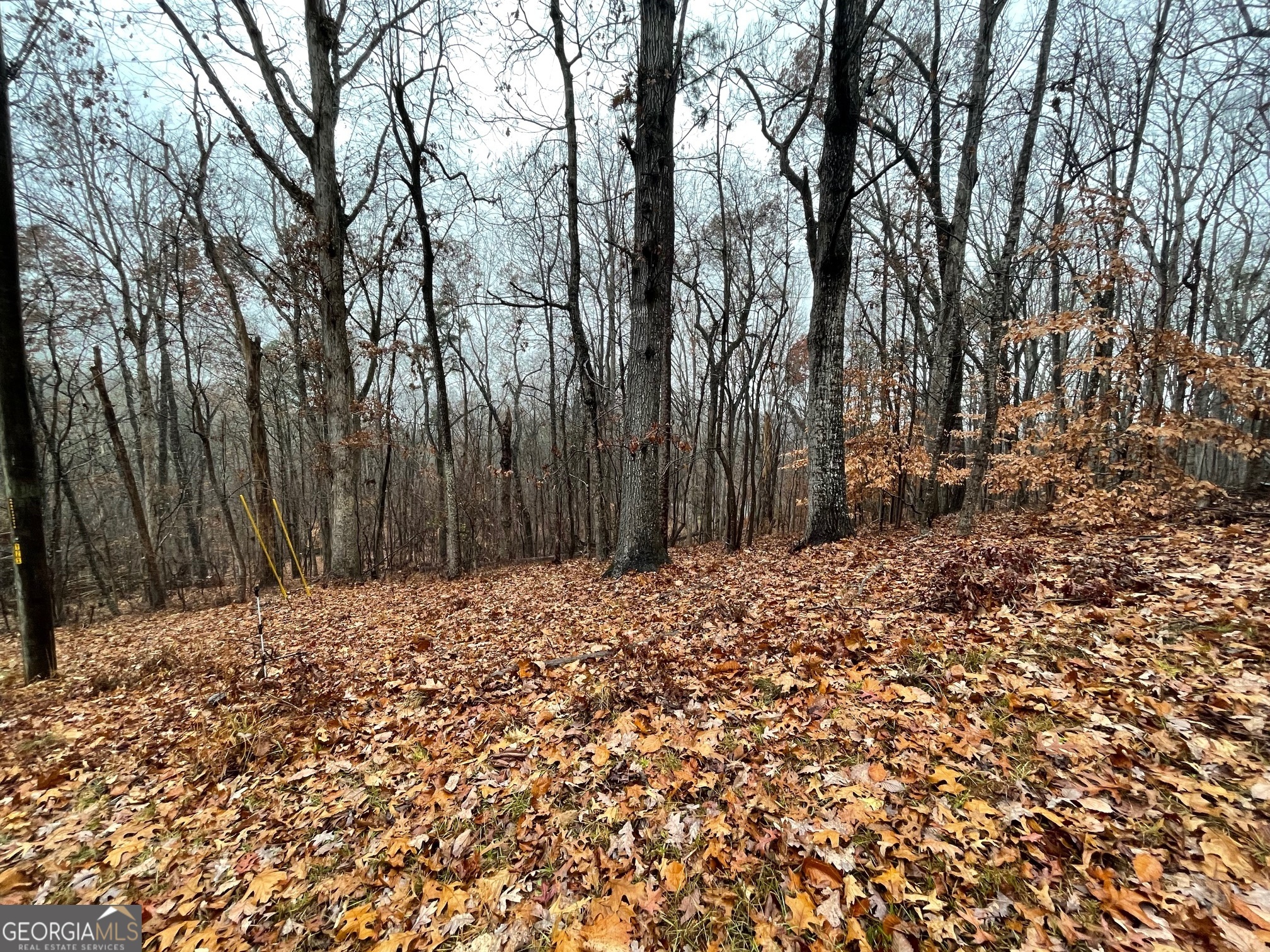 0 S Arrowhead Drive Lot 2134 Property Photo 4