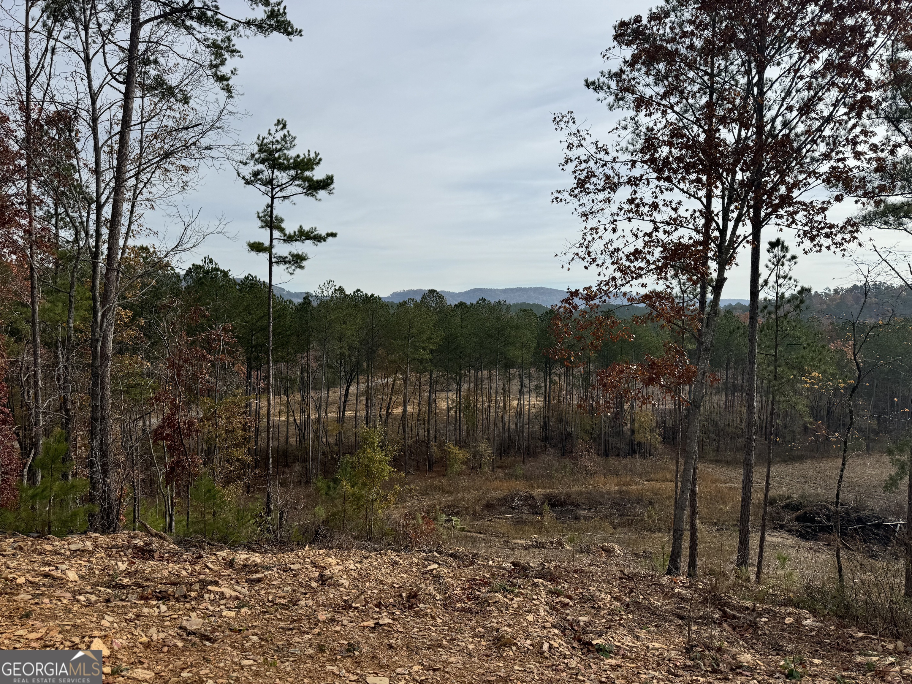 0 S Hwy 411 Property Photo 15