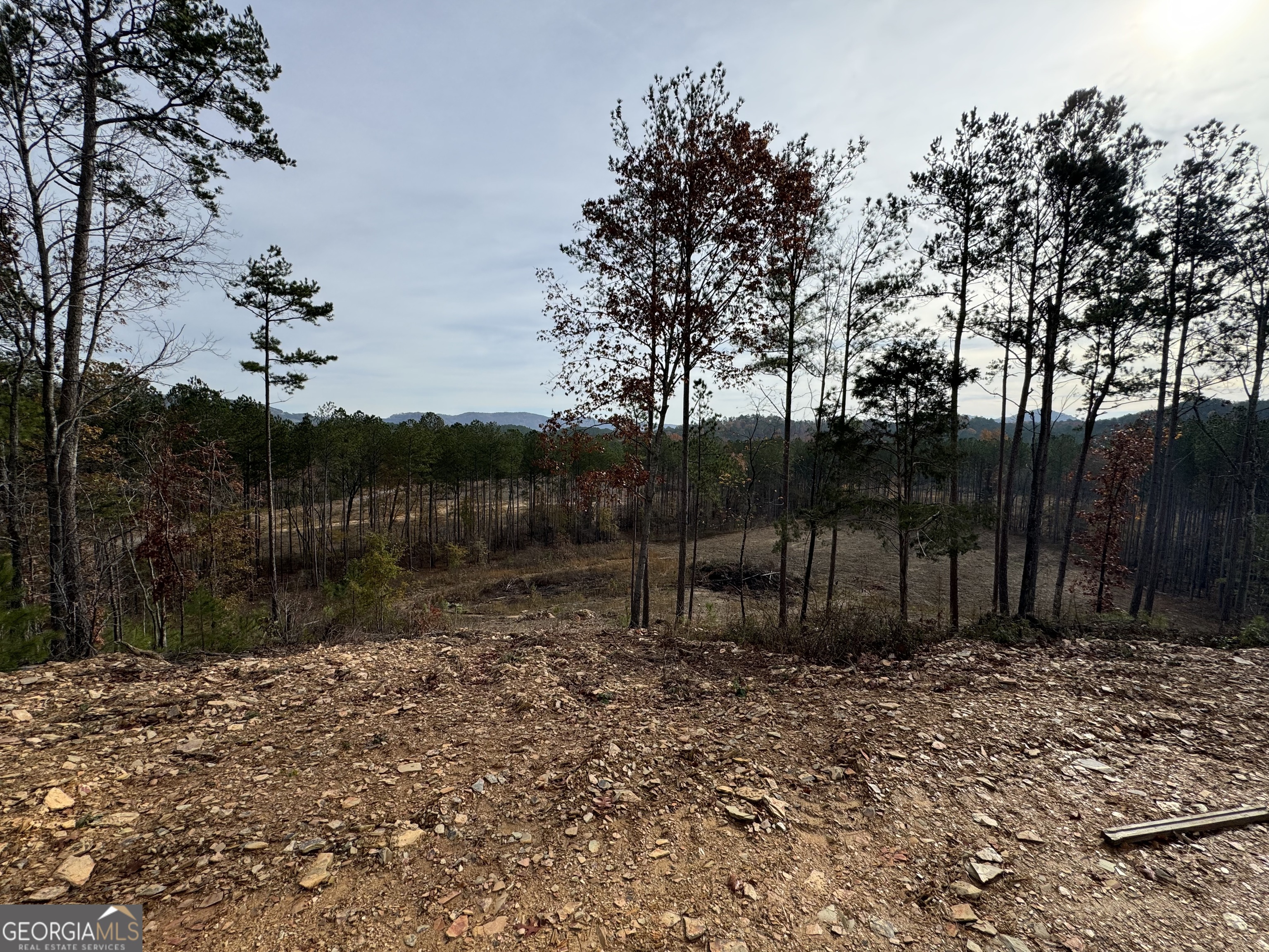0 S Hwy 411 Property Photo 16