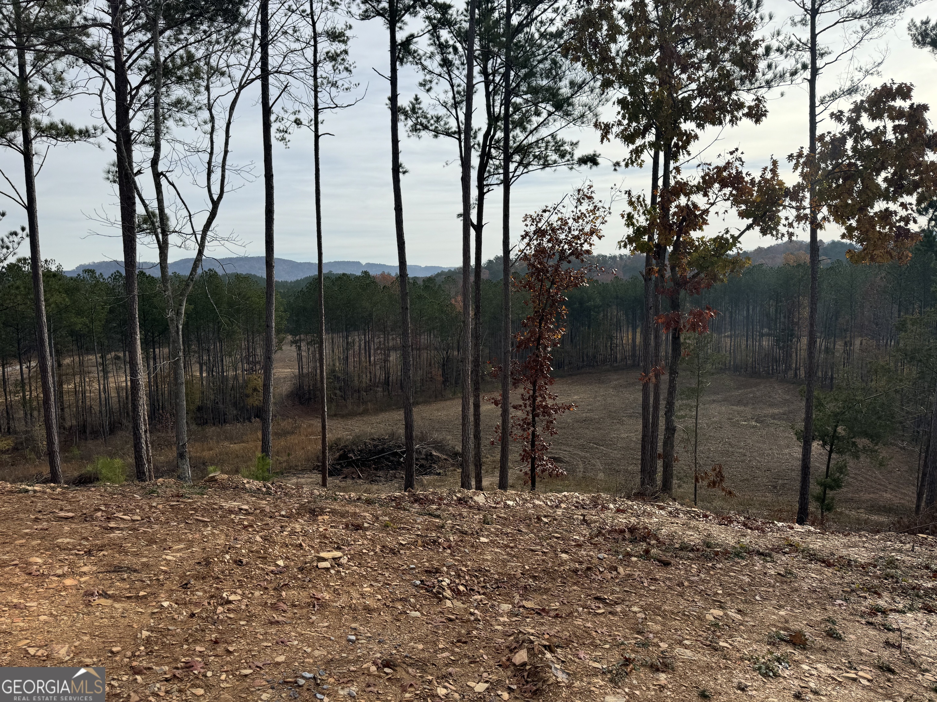 0 S Hwy 411 Property Photo 18