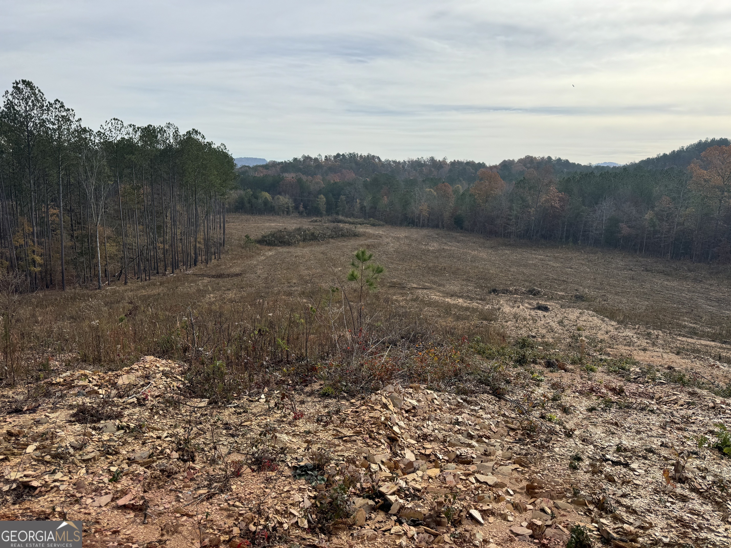 0 S Hwy 411 Property Photo 20