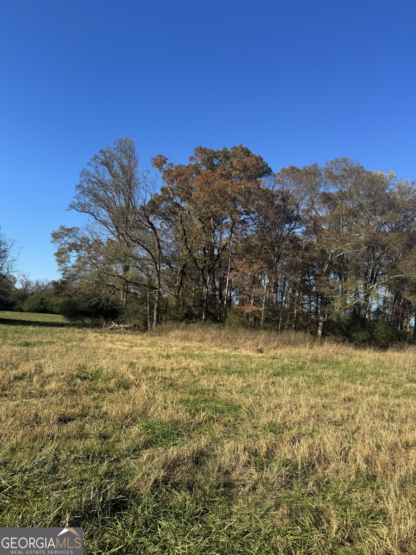 2641 Oakley Trail Property Photo 10