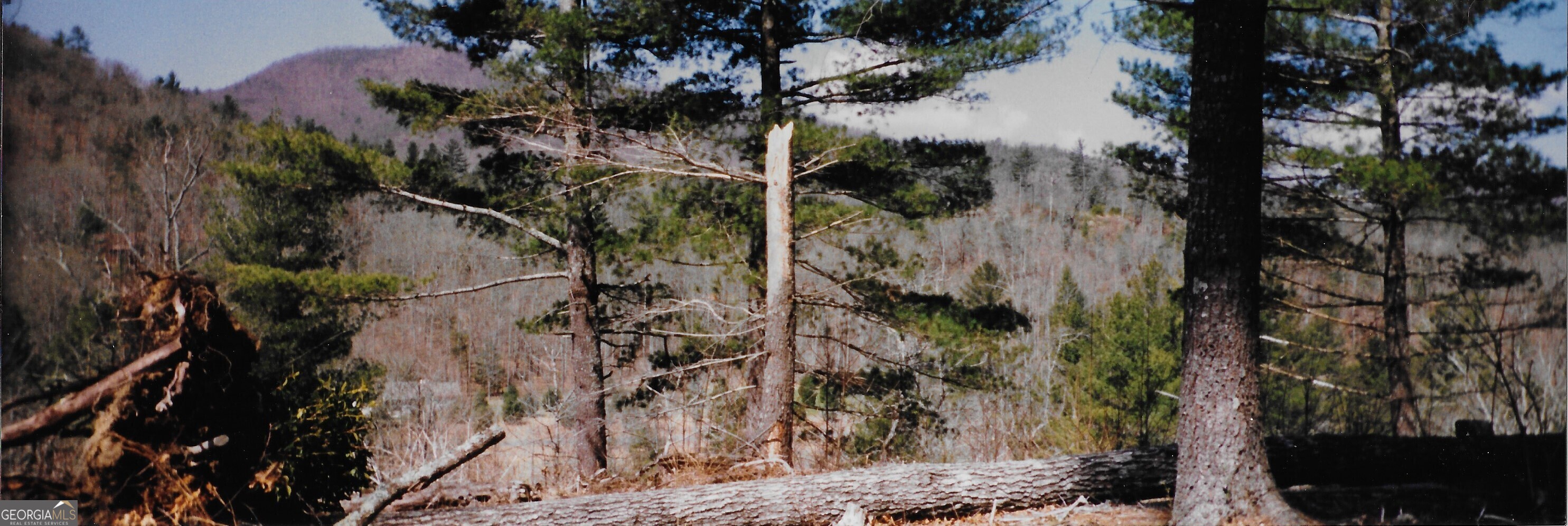 Lot 67 Hi River Country # 67 Property Photo 2