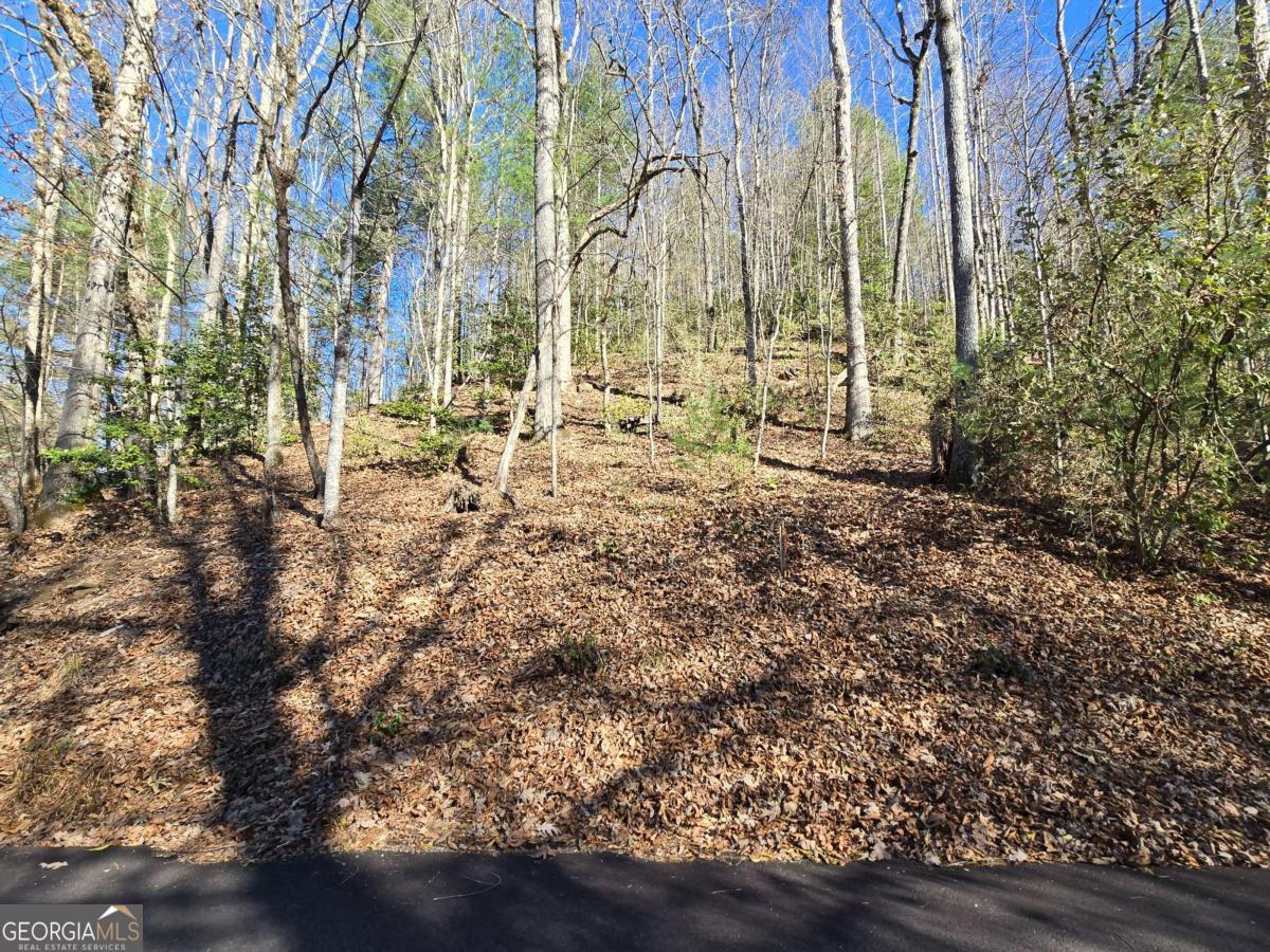 Lot 67 Hi River Country # 67 Property Photo 3