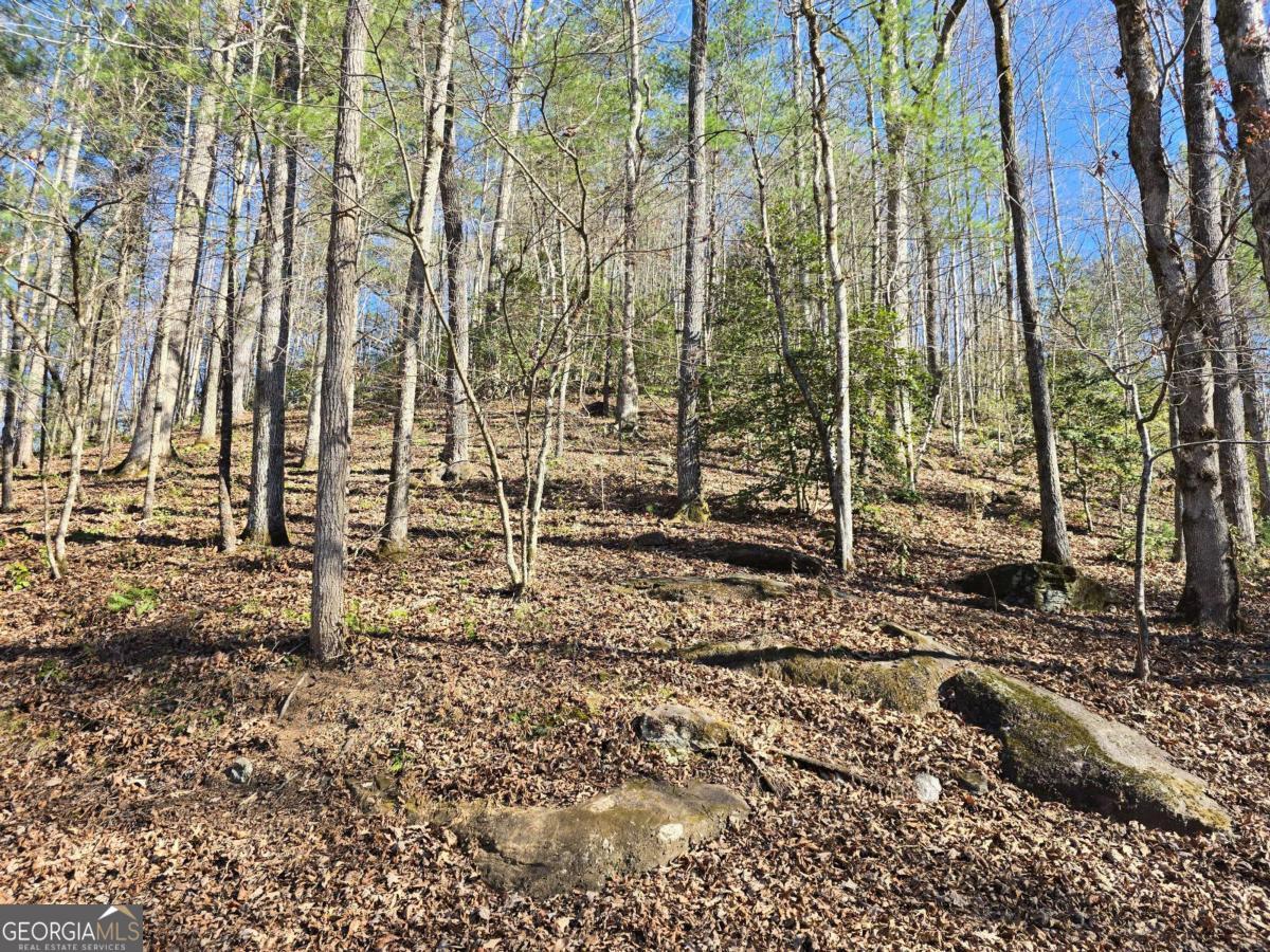 Lot 67 Hi River Country # 67 Property Photo 5