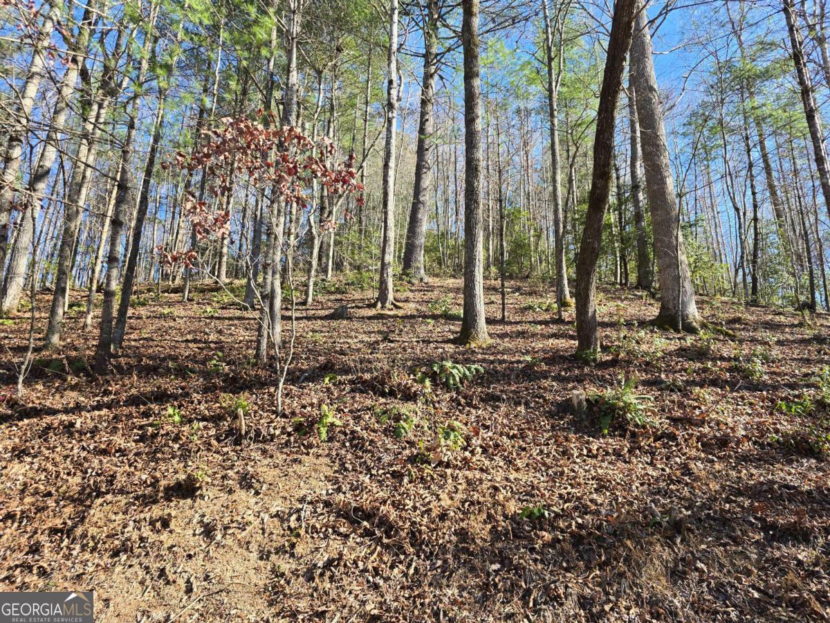 Lot 67 Hi River Country # 67 Property Photo 6
