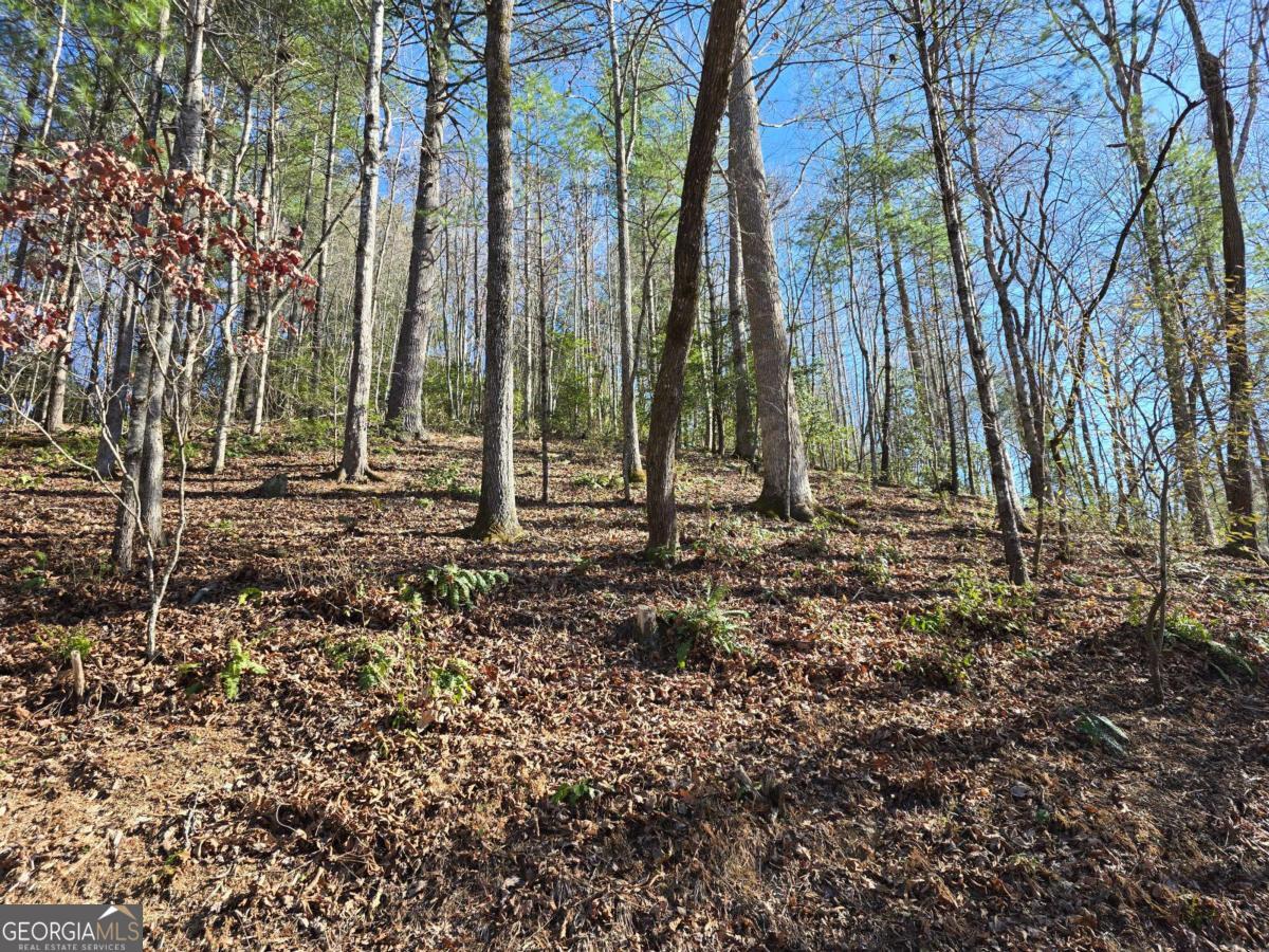Lot 67 Hi River Country # 67 Property Photo 7