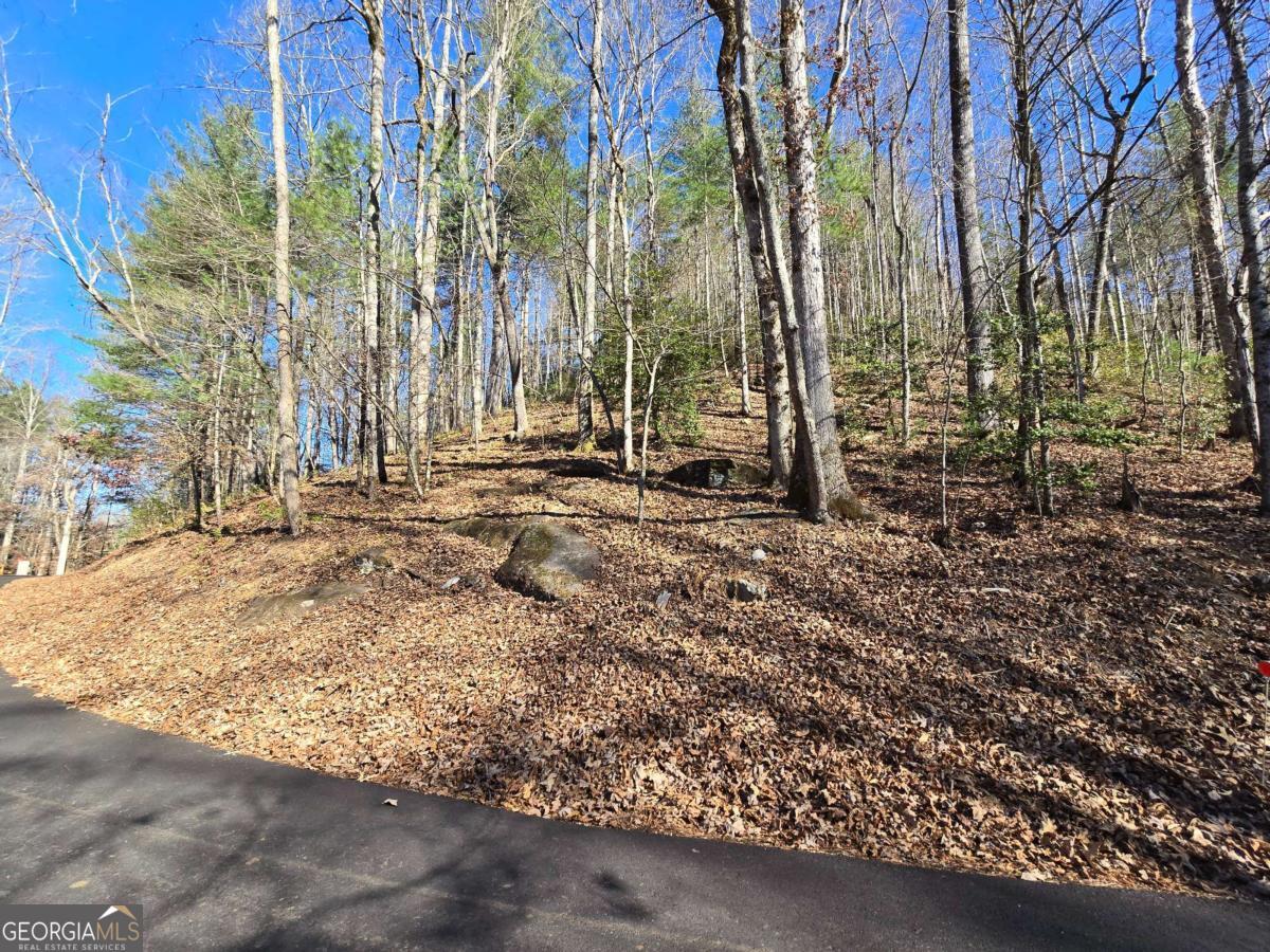 Lot 67 Hi River Country # 67 Property Photo 8
