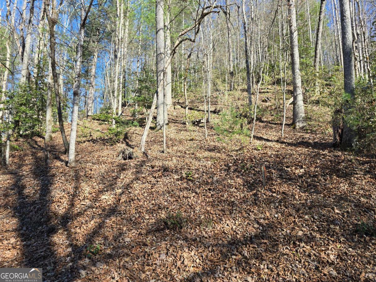 Lot 67 Hi River Country # 67 Property Photo 9