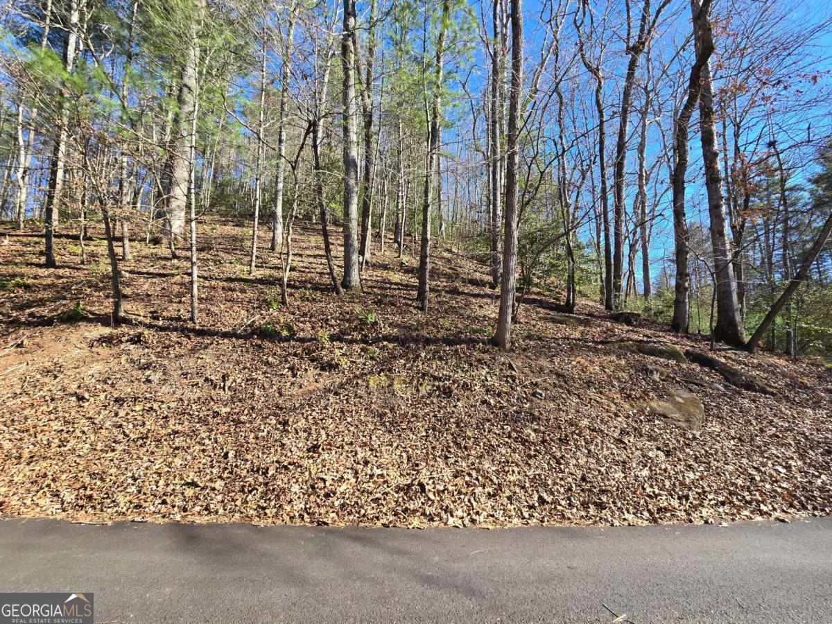 Lot 67 Hi River Country # 67 Property Photo 10
