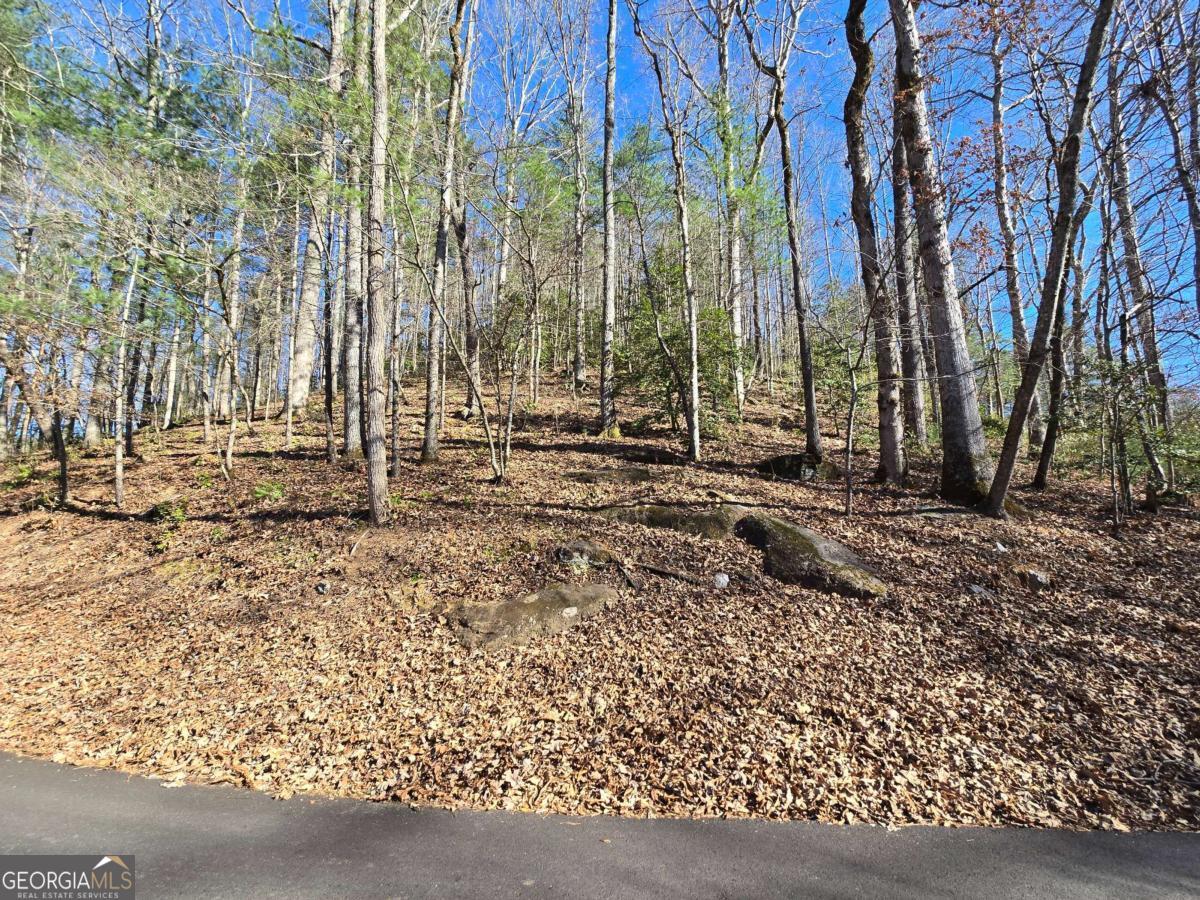 Lot 67 Hi River Country # 67 Property Photo 11