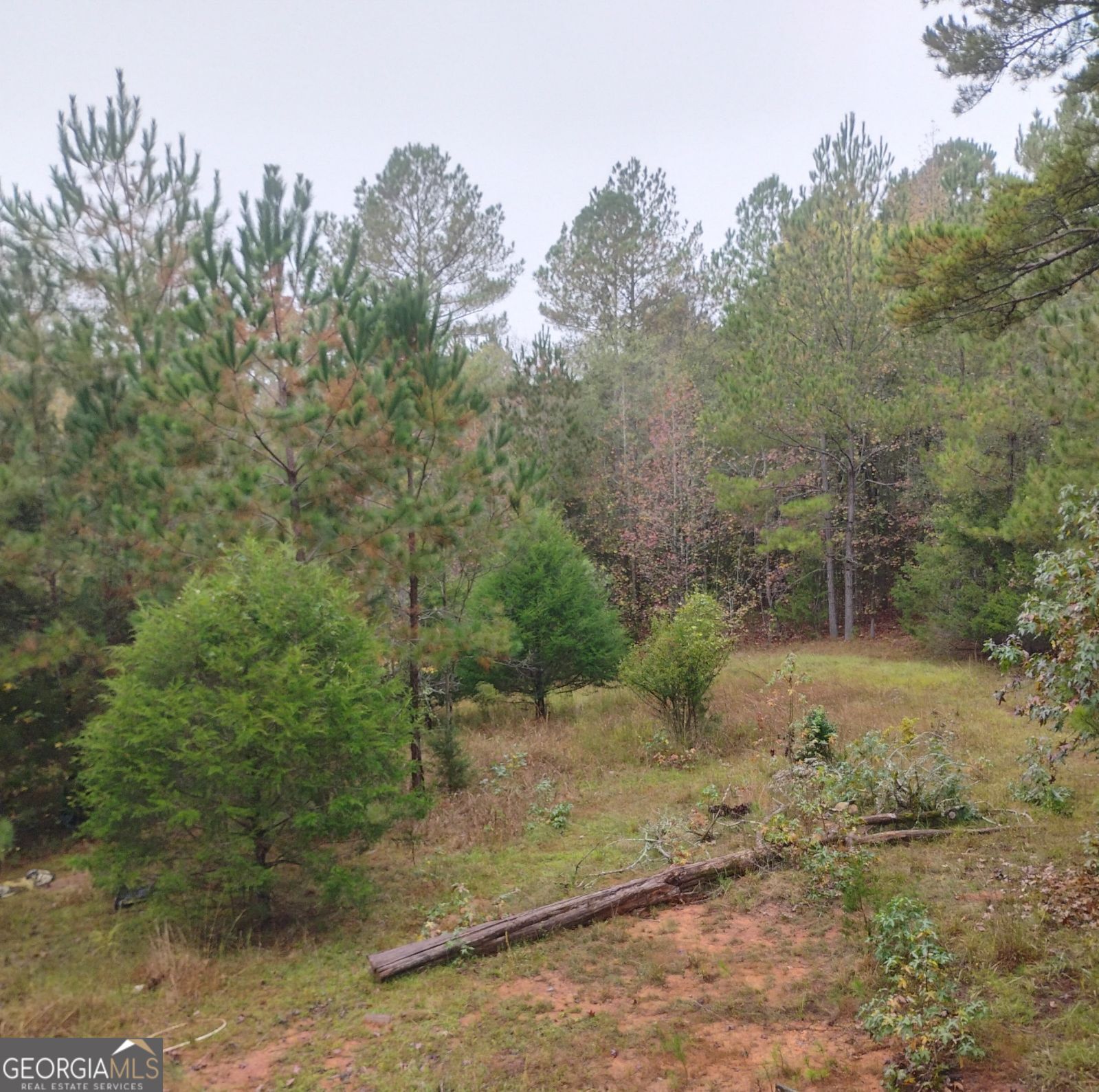 499 Berkeley Road Property Photo
