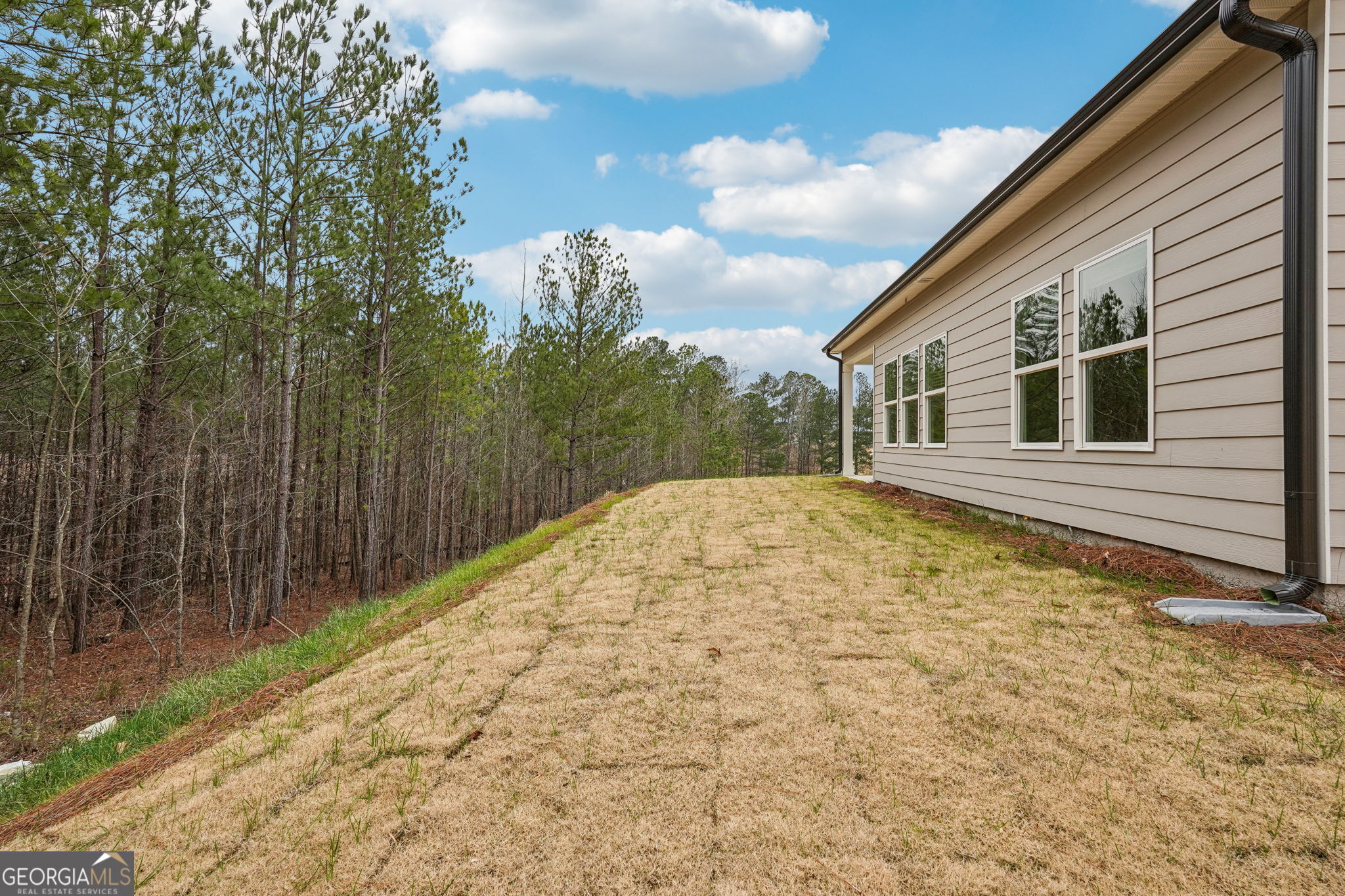 333 Ivey Township Drive Property Photo 50