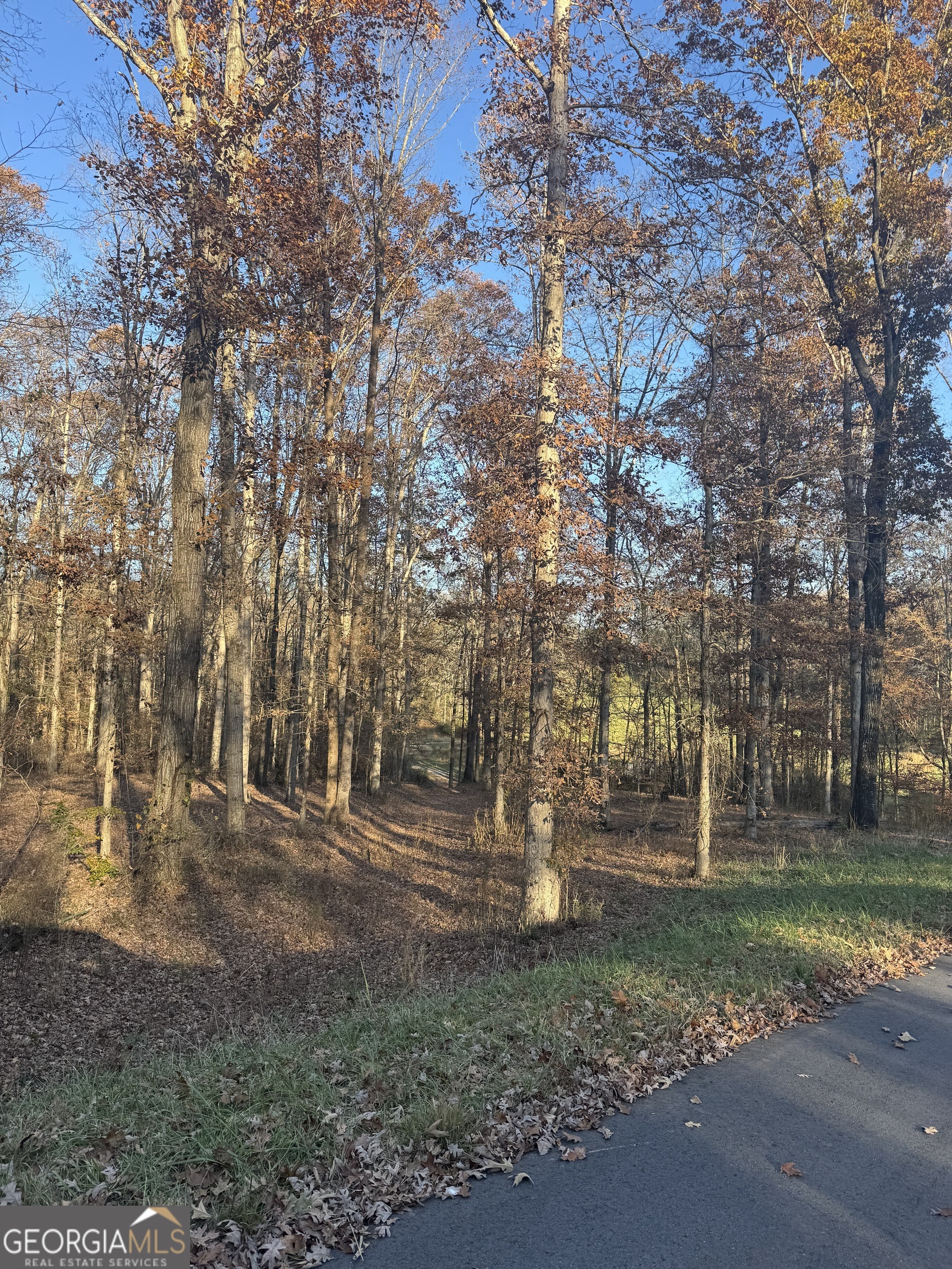 1475 Whispering Way Property Photo 11
