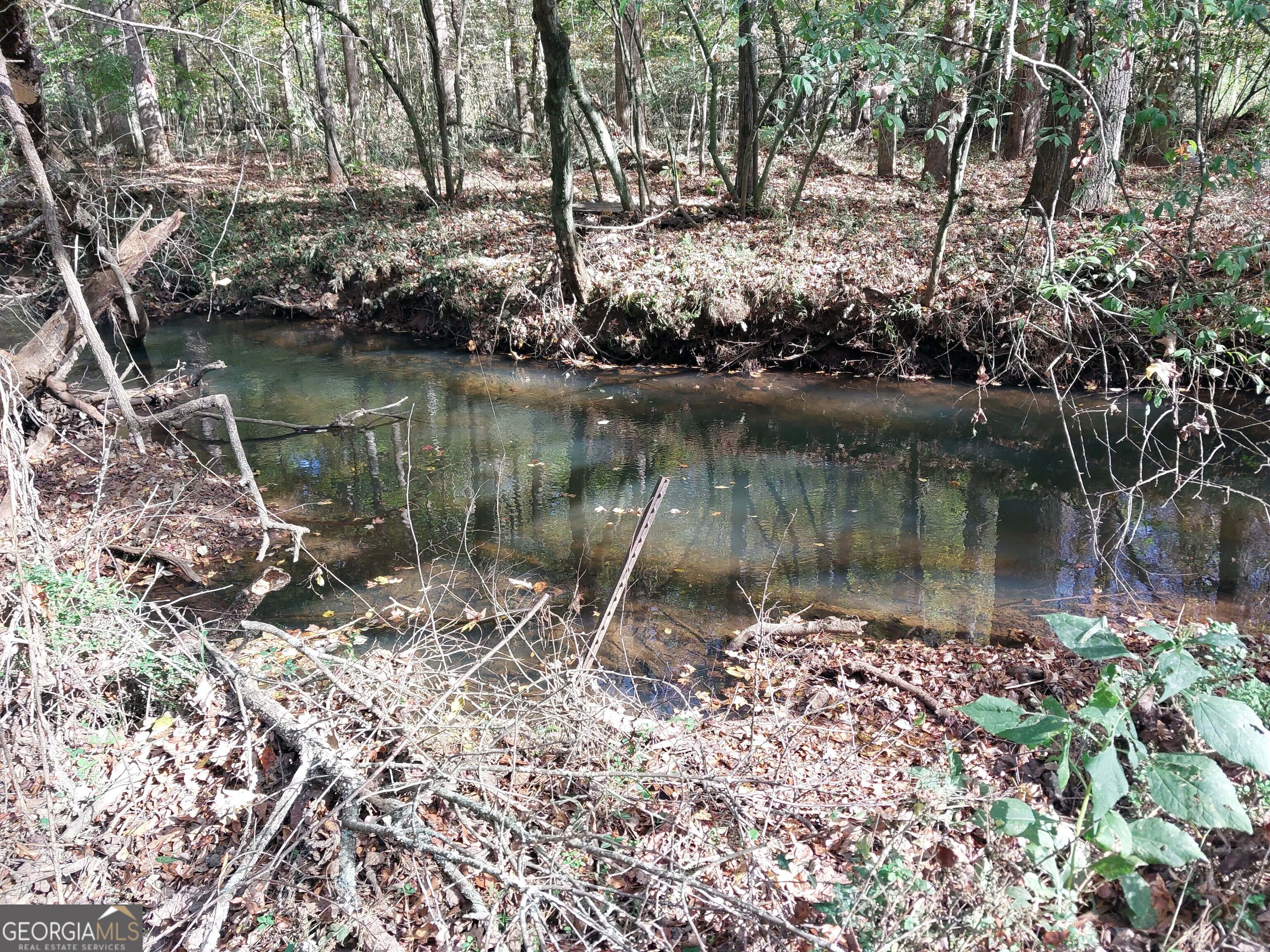 2193 Hiram Douglasville Highway Property Photo 21