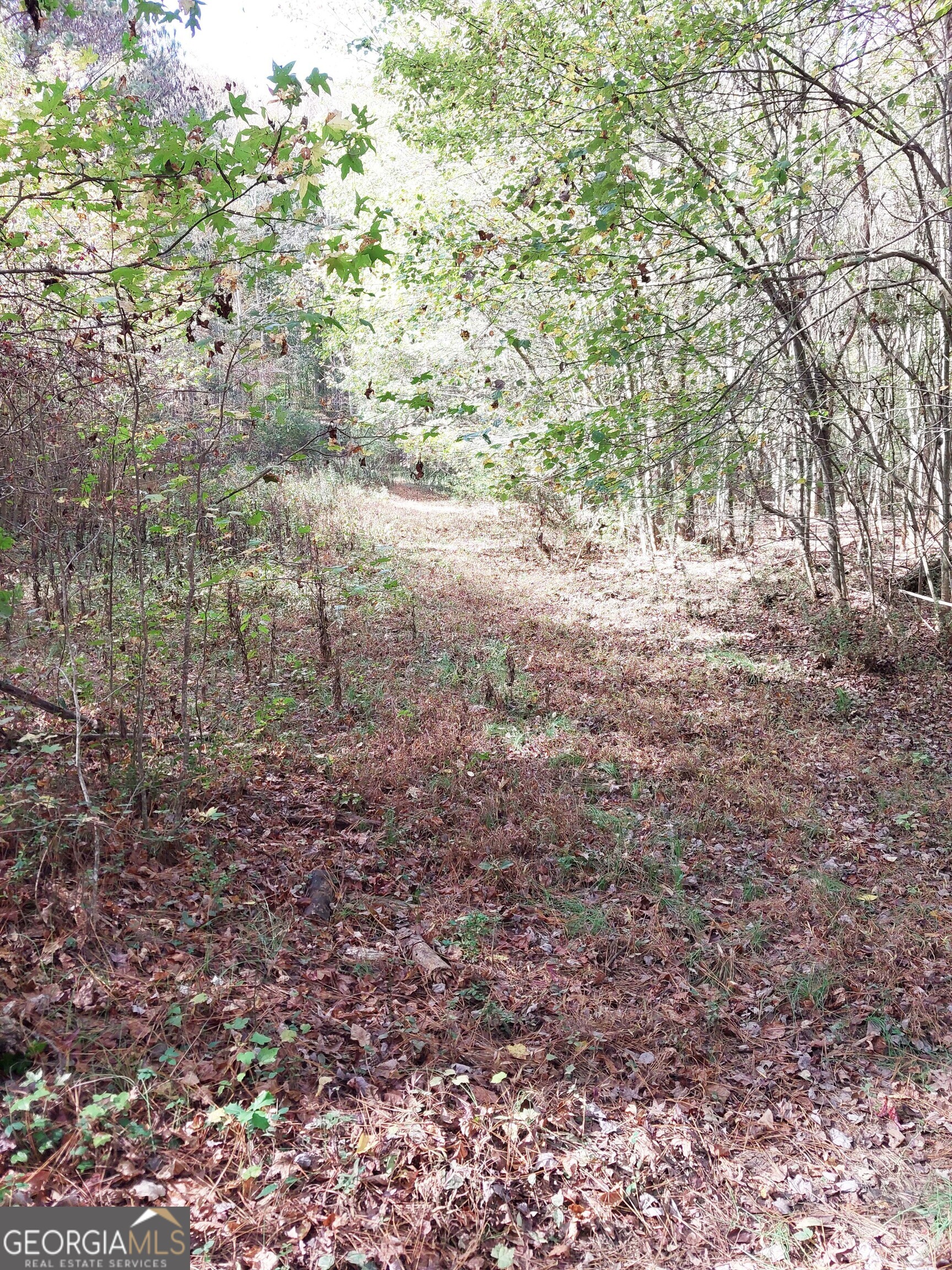 2193 Hiram Douglasville Highway Property Photo 33