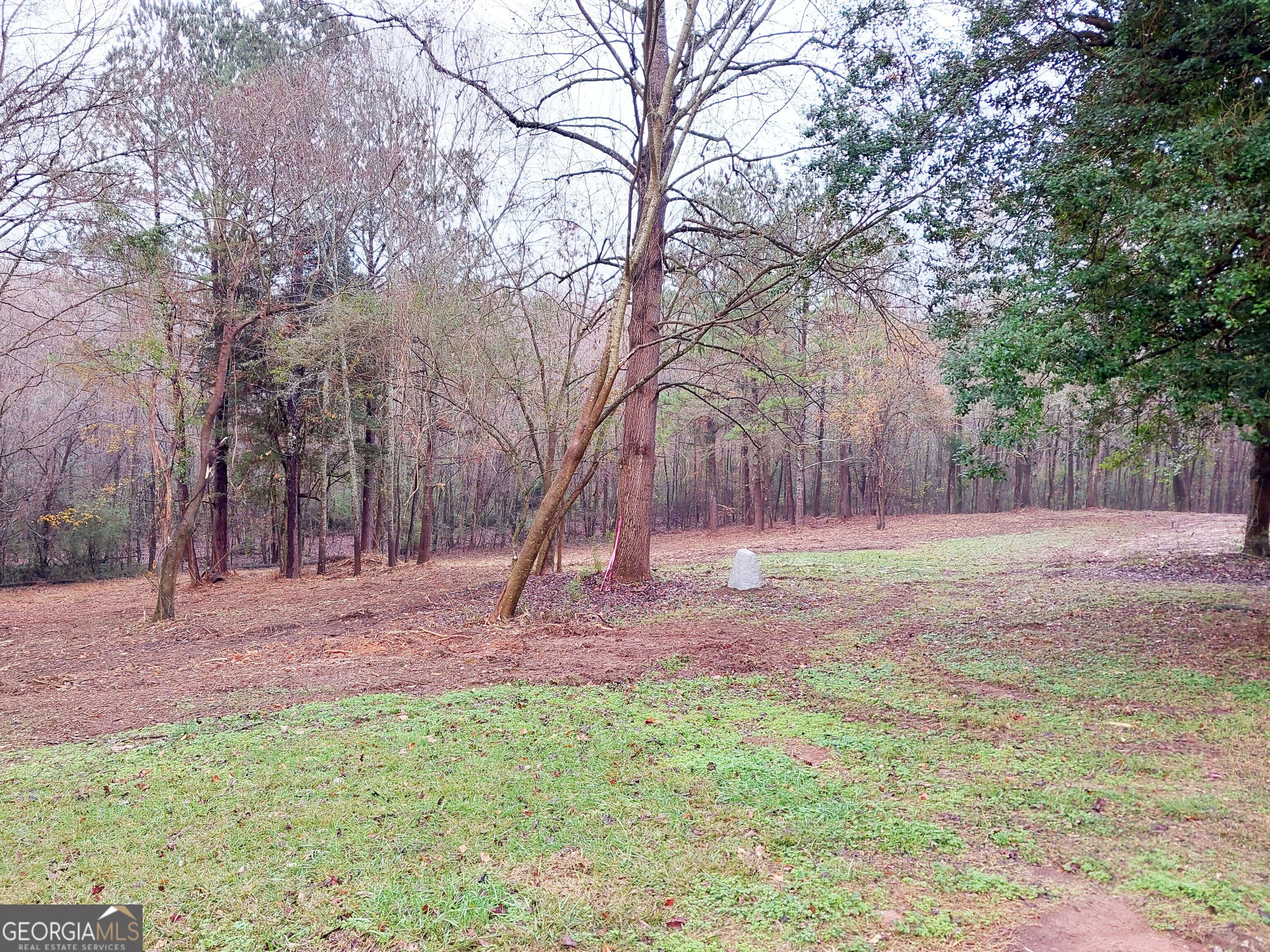 2193 Hiram Douglasville Highway Property Photo 36