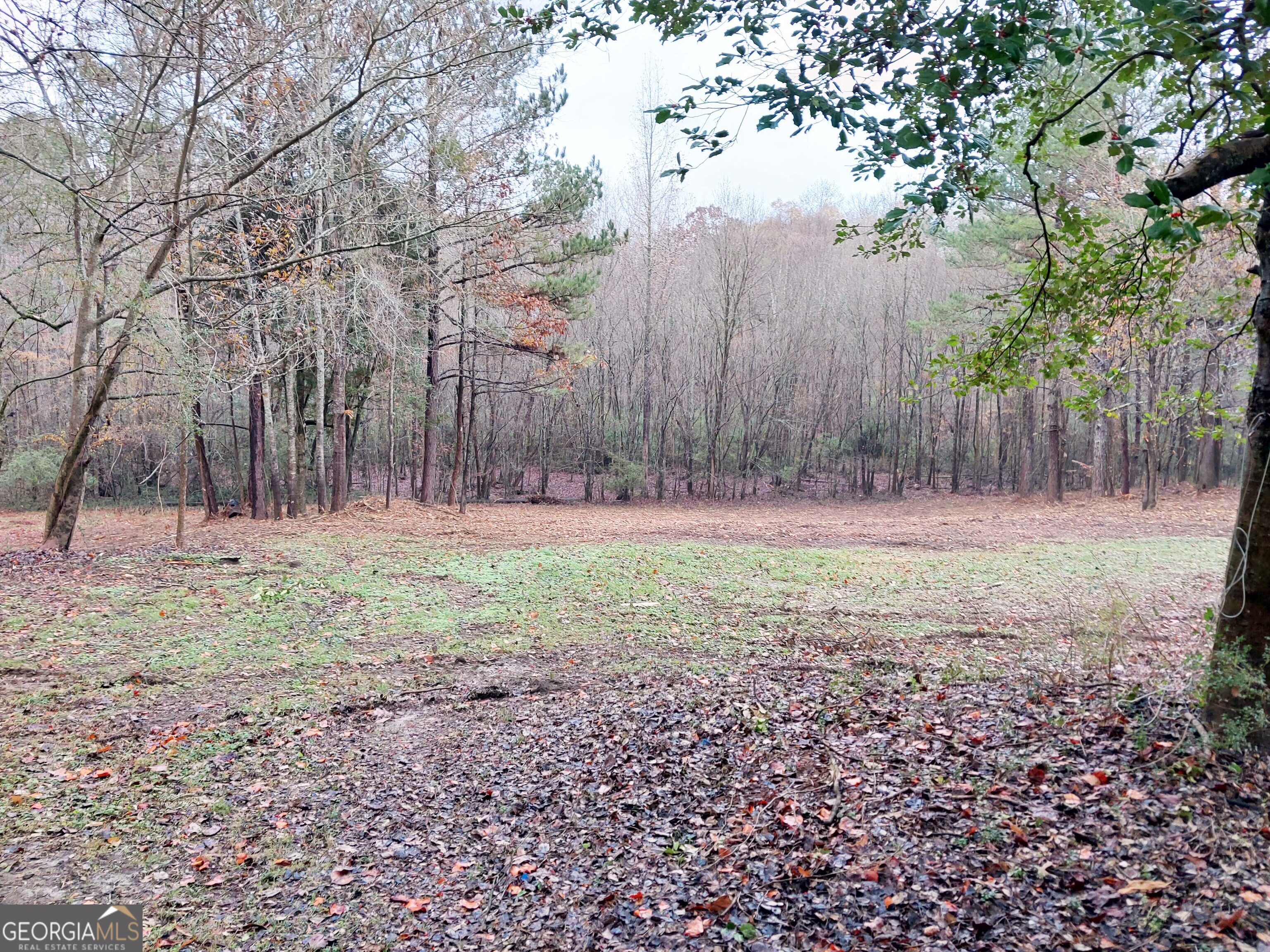 2193 Hiram Douglasville Highway Property Photo 37