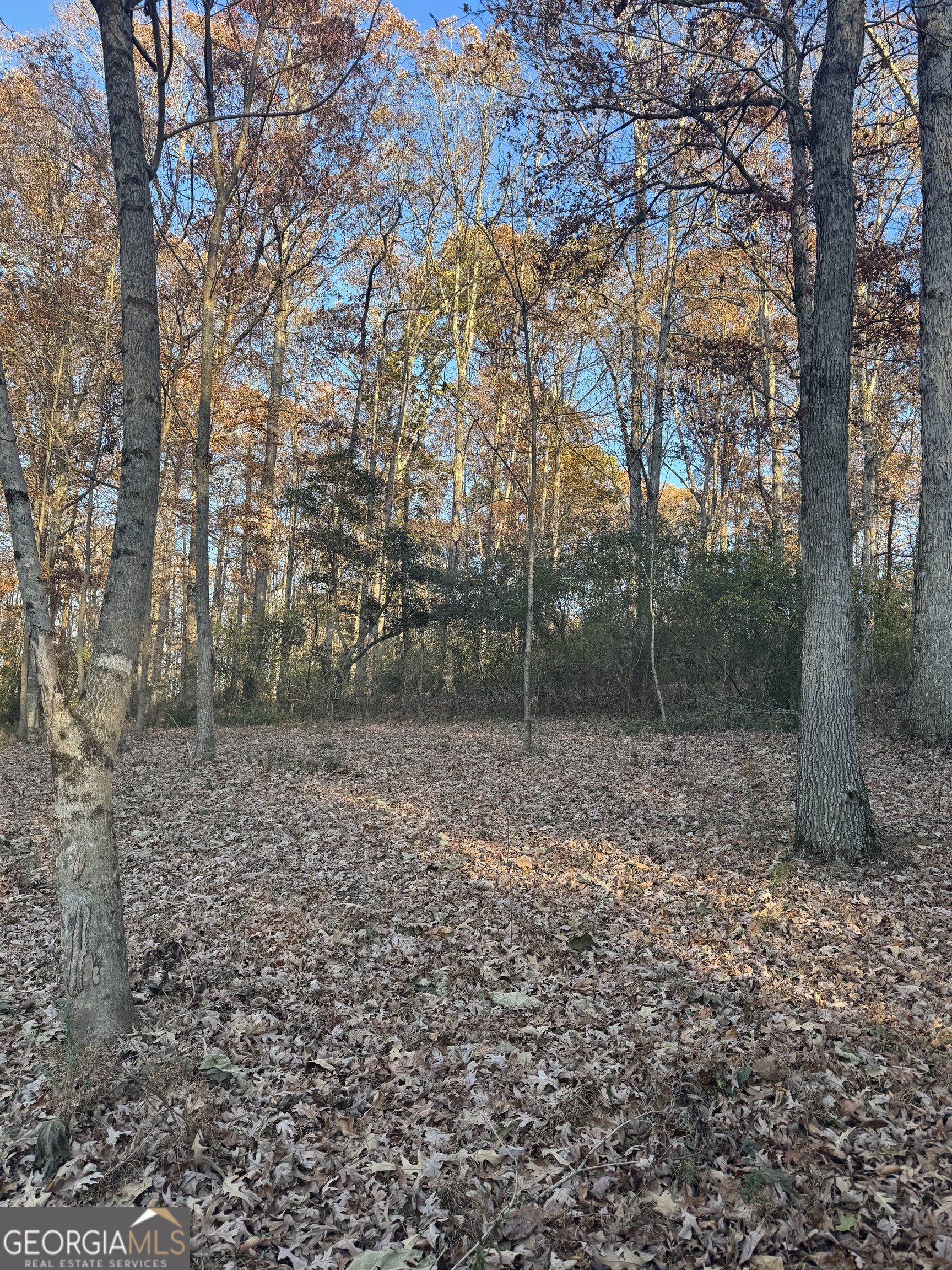 2143 Whispering Way Property Photo 10