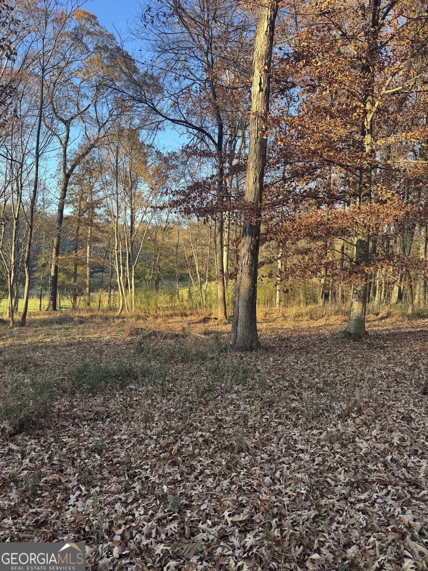 2143 Whispering Way Property Photo 13