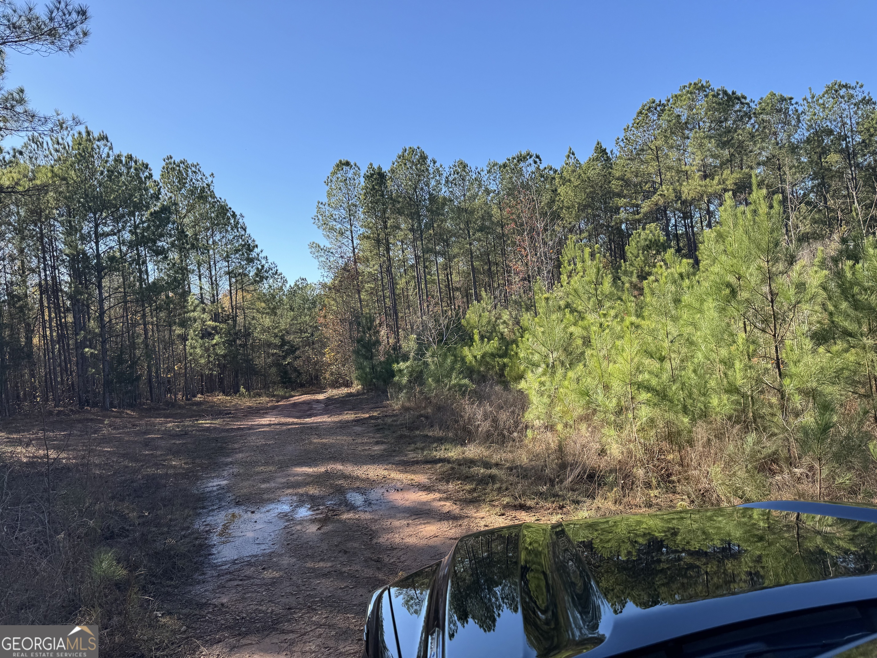 0 Faulkner Road Property Photo 3