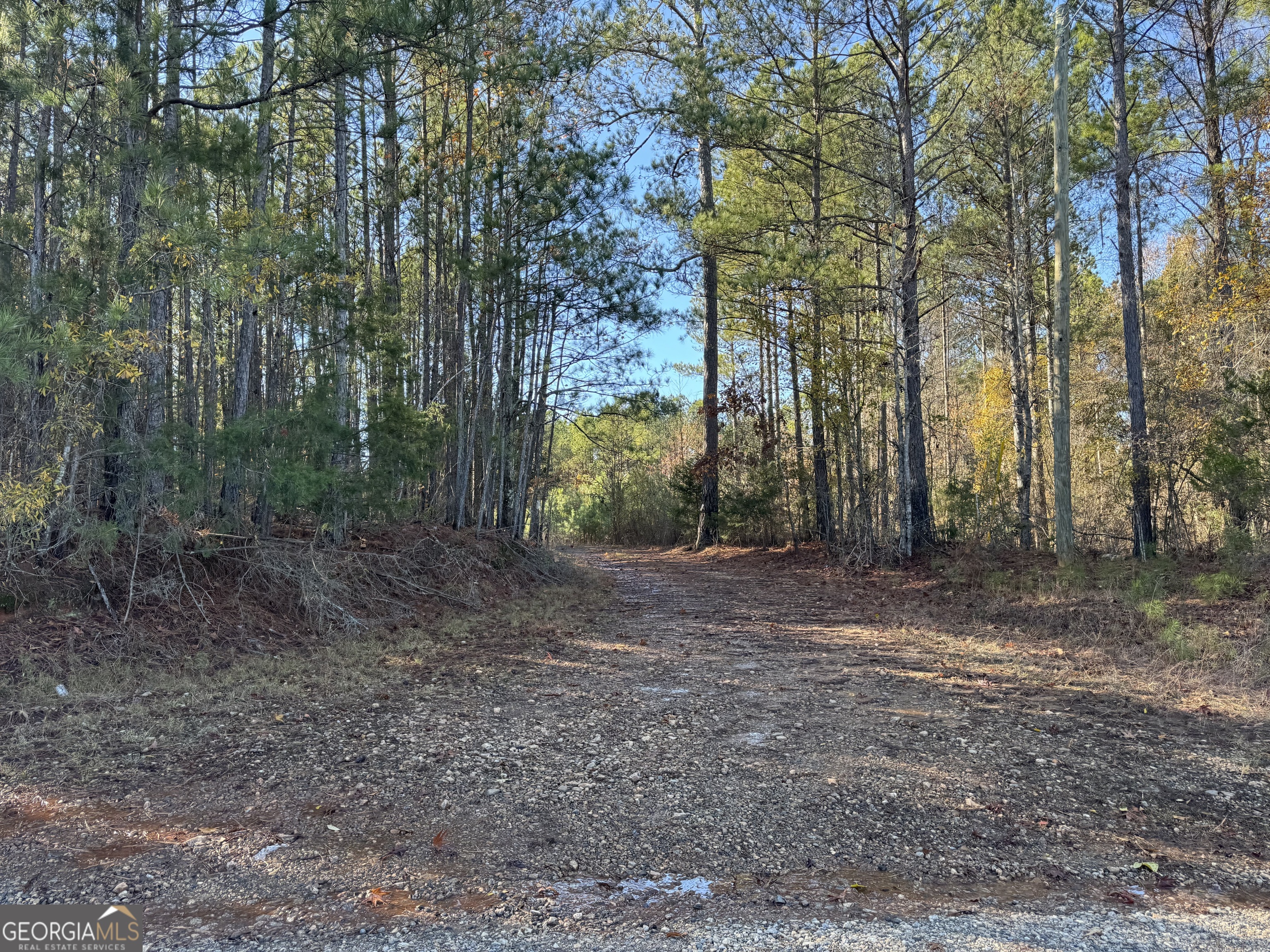 0 Faulkner Road Property Photo 4