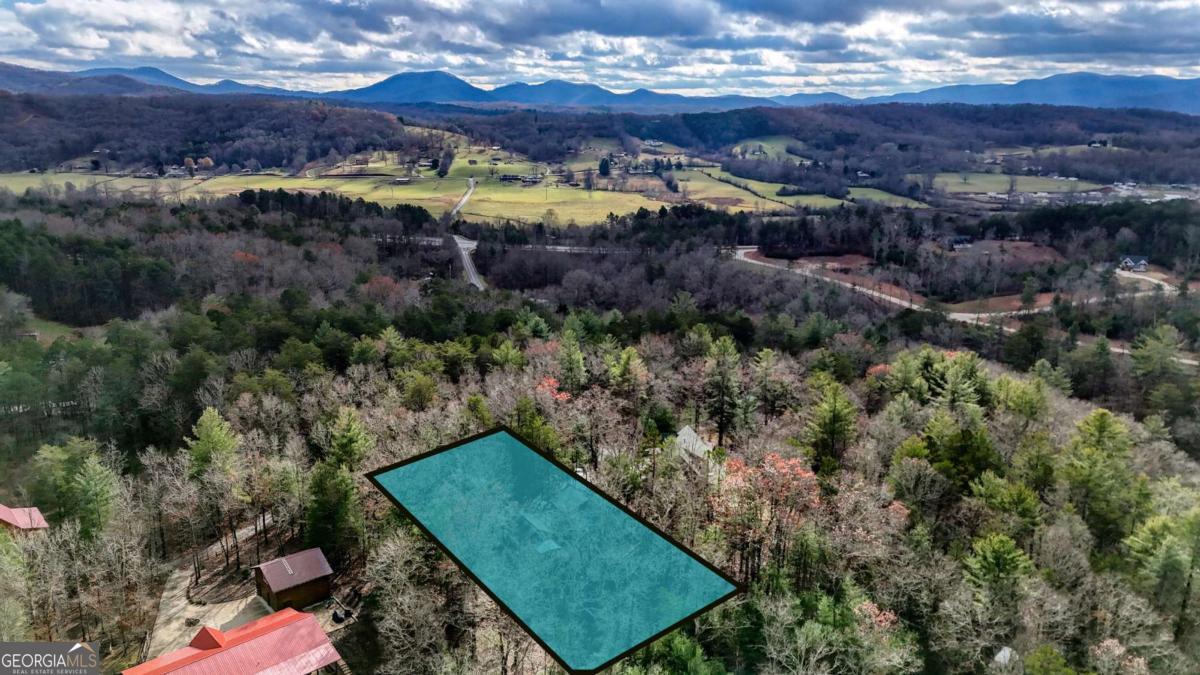 236 William Branch Road Property Photo 42