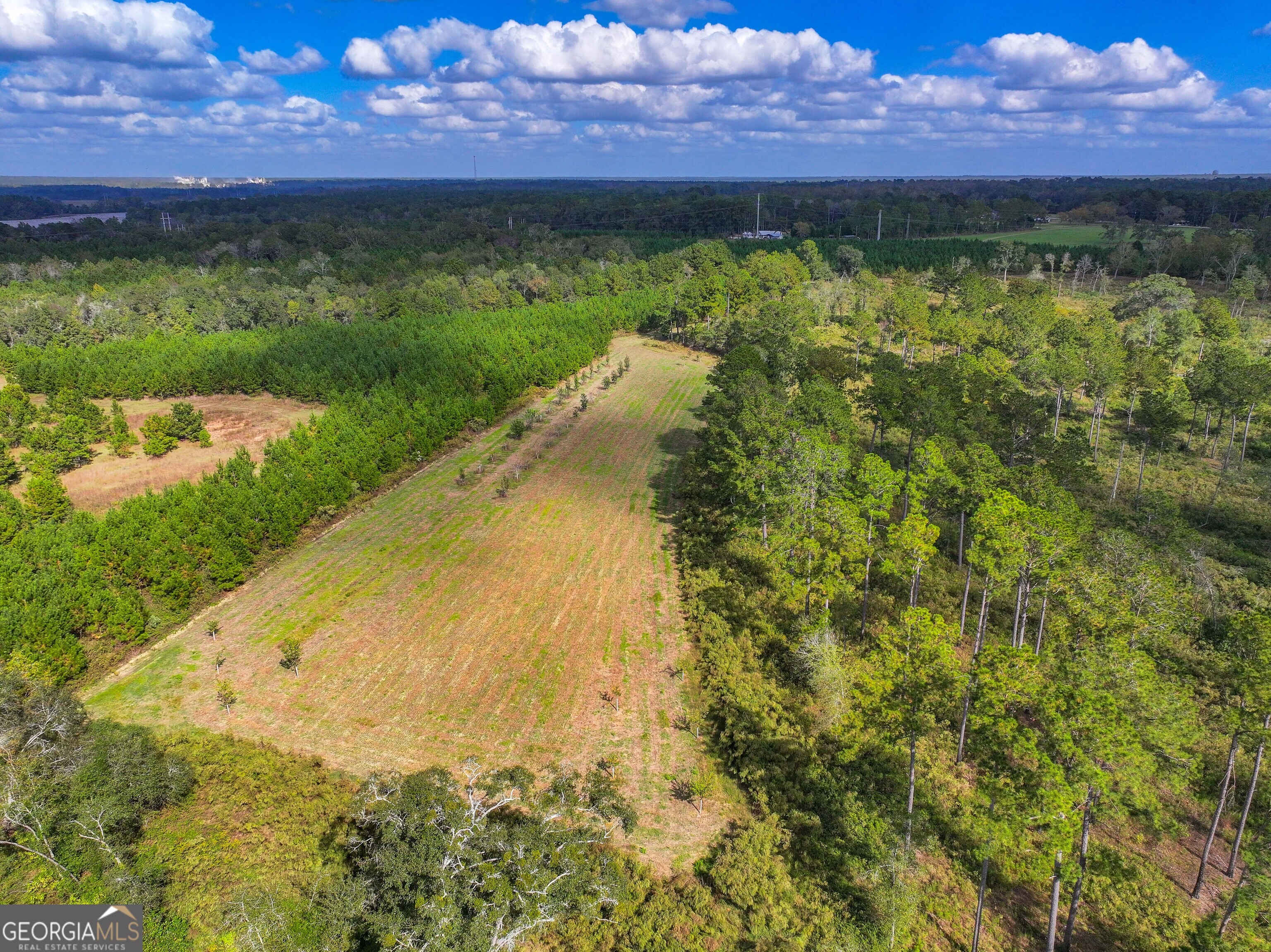 2643 Ga Hwy 188 Property Photo 10