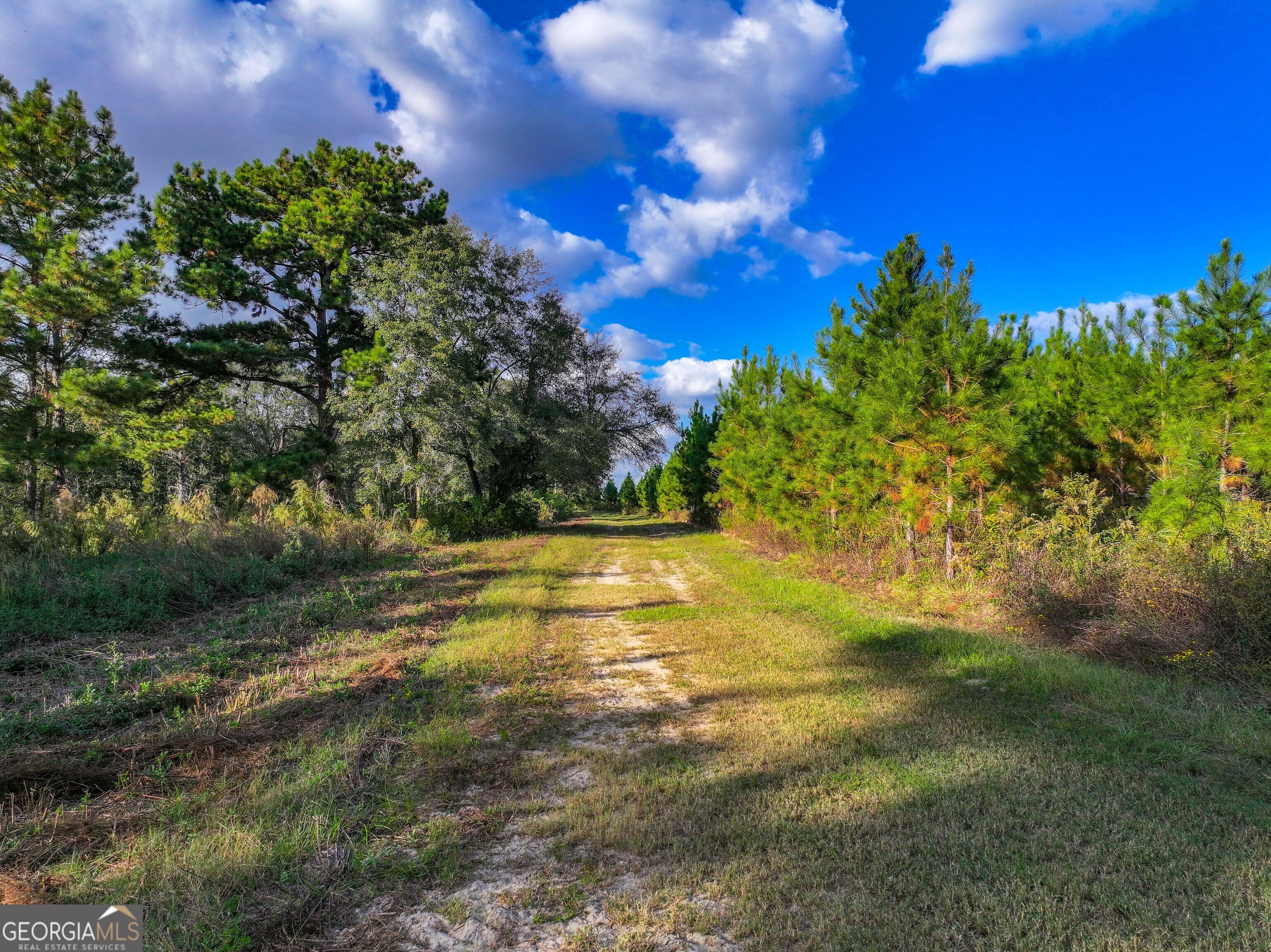 2643 Ga Hwy 188 Property Photo 13