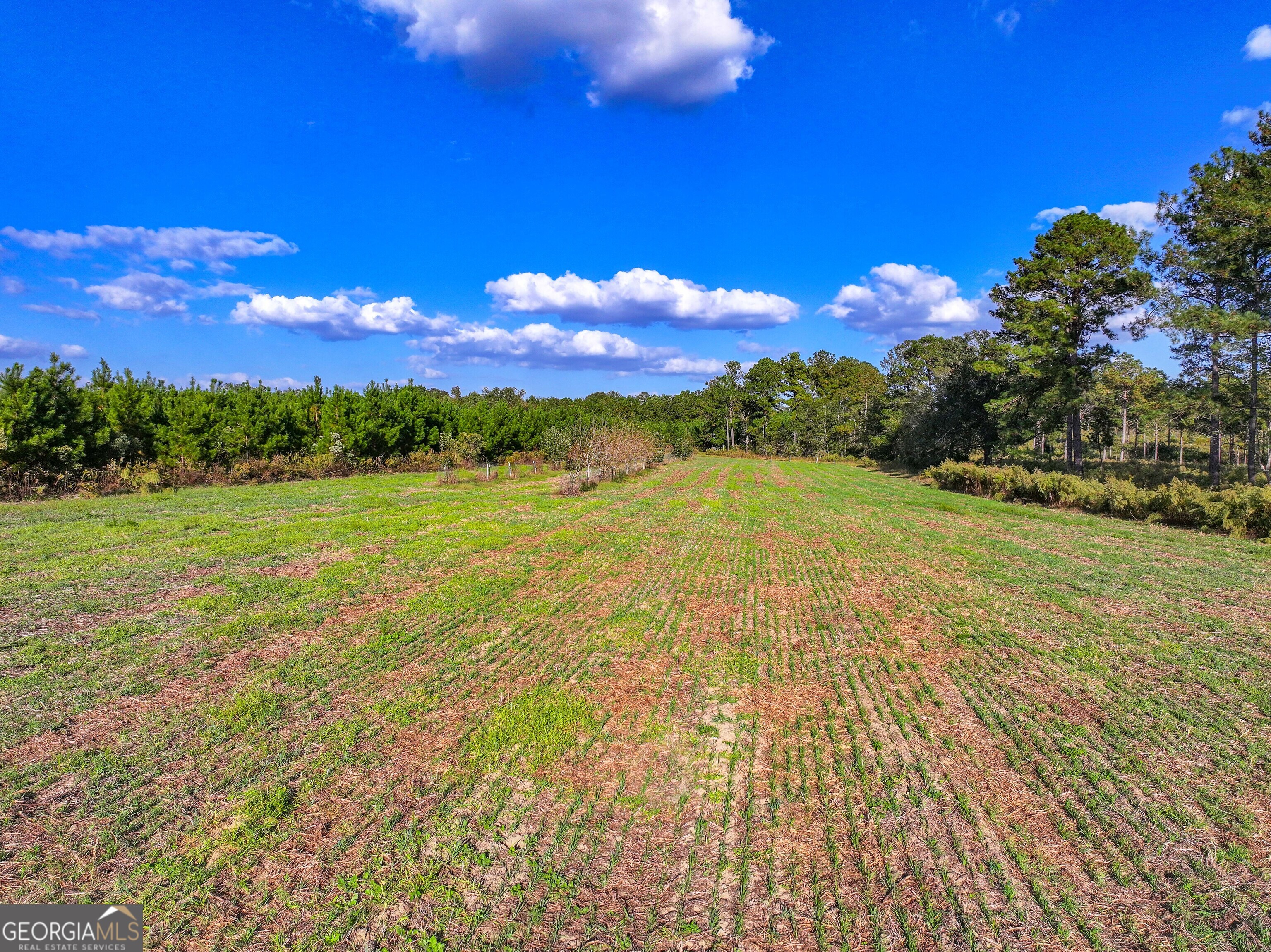 2643 Ga Hwy 188 Property Photo 14