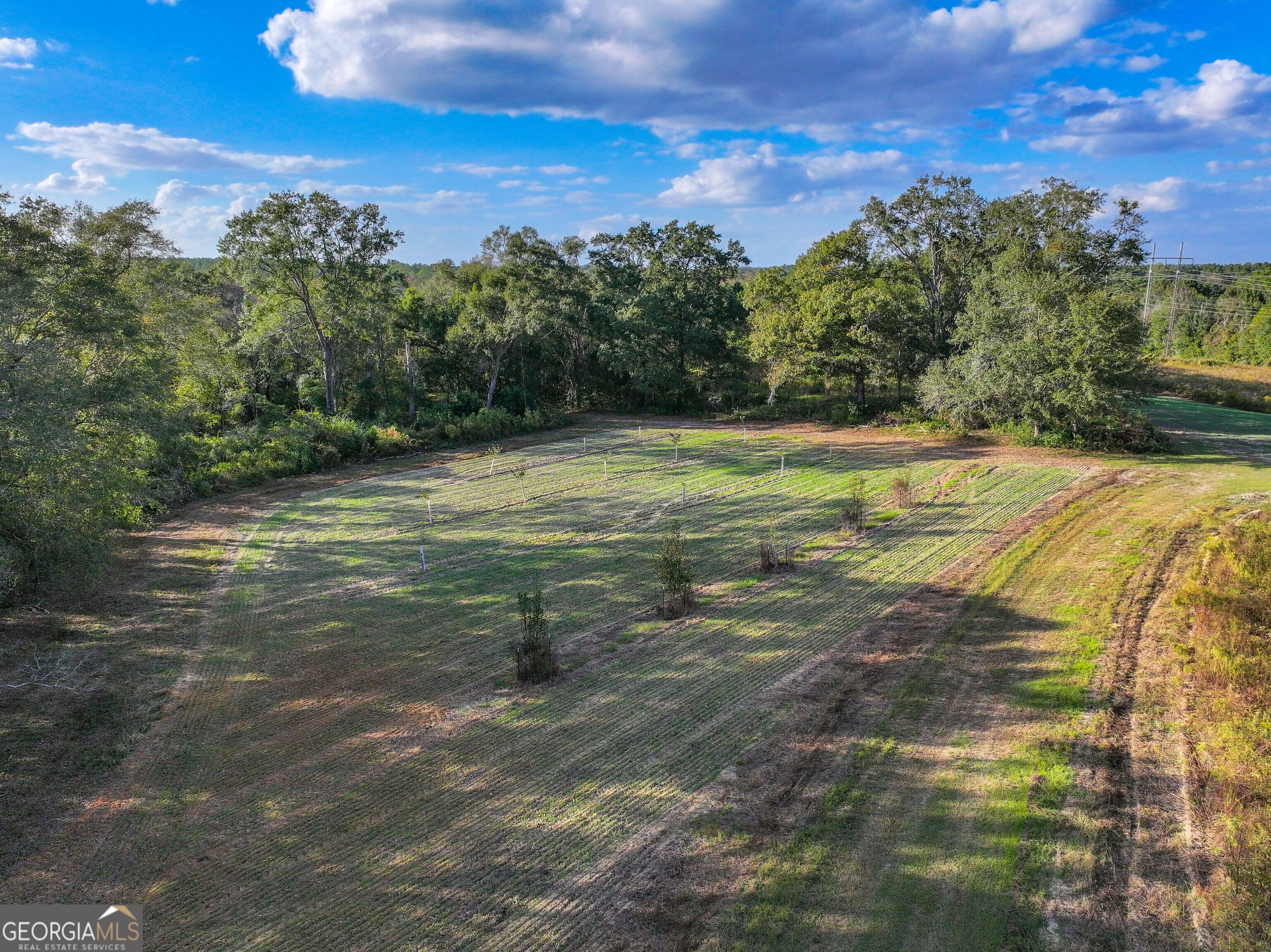 2643 Ga Hwy 188 Property Photo 15