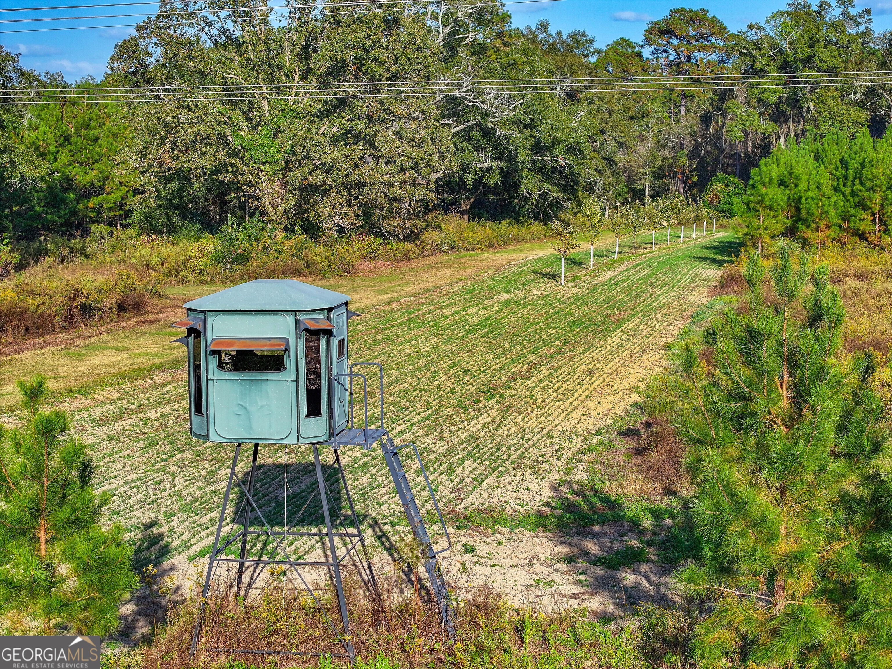 2643 Ga Hwy 188 Property Photo 16