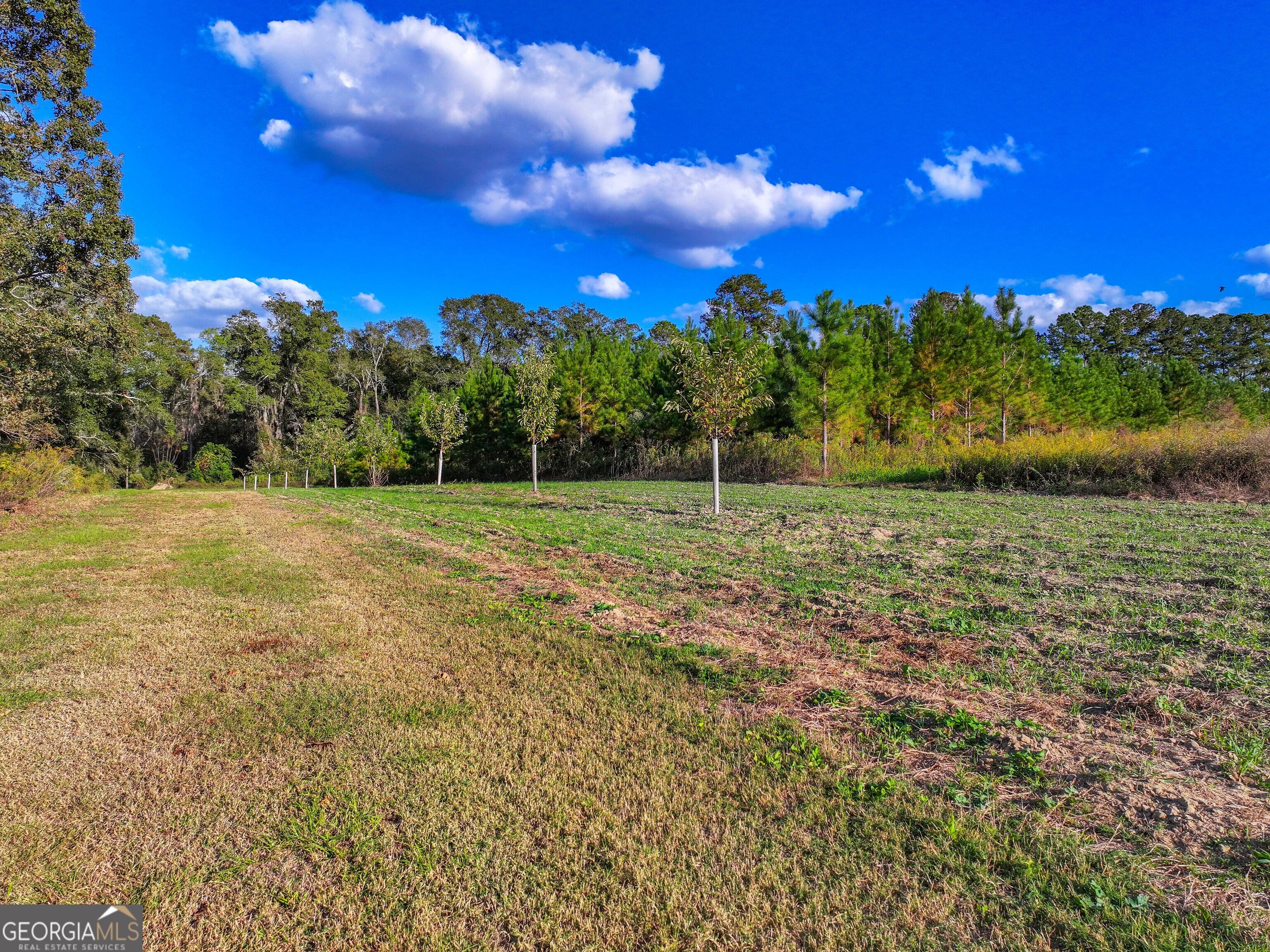 2643 Ga Hwy 188 Property Photo 18