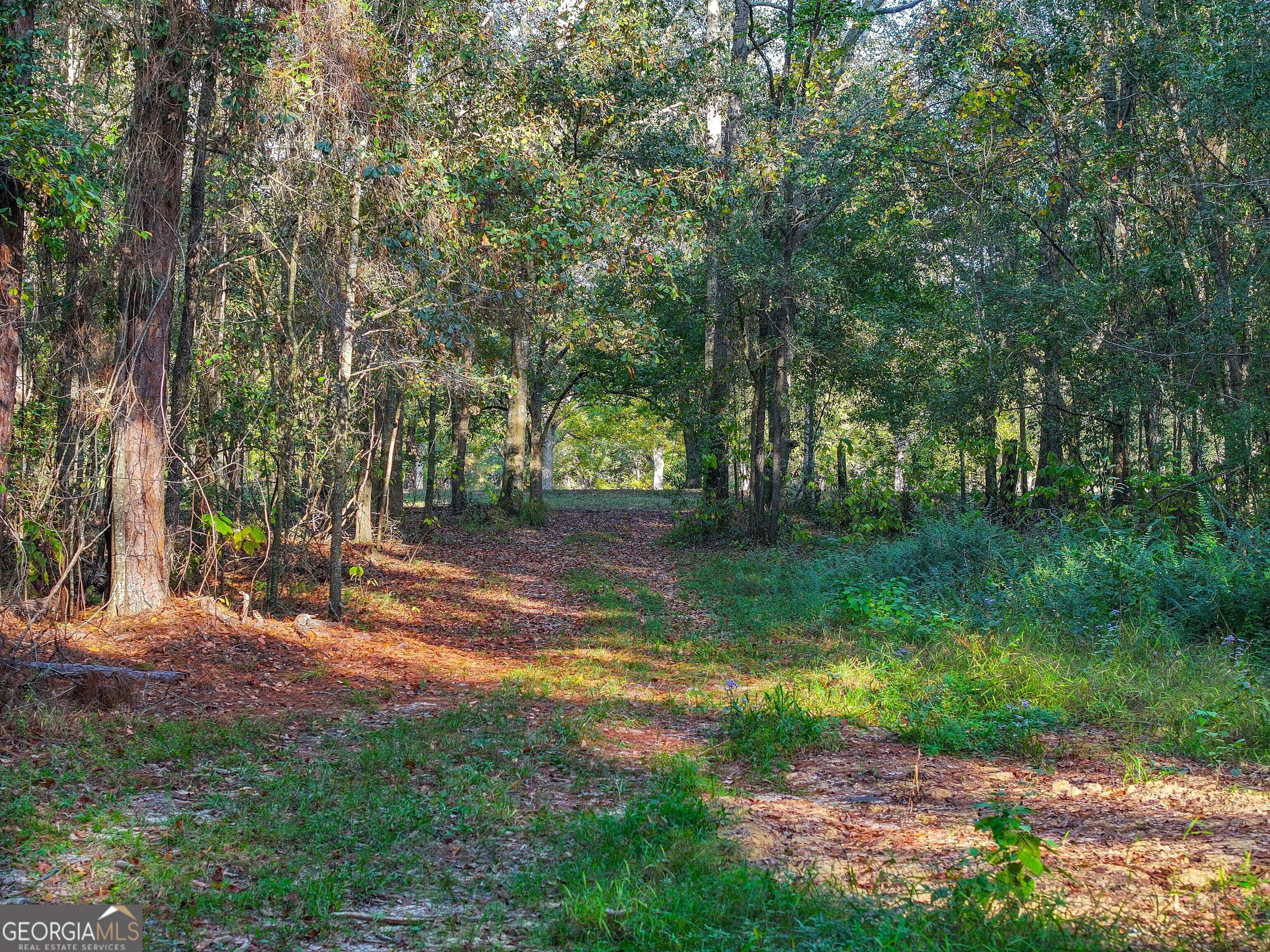 2643 Ga Hwy 188 Property Photo 20