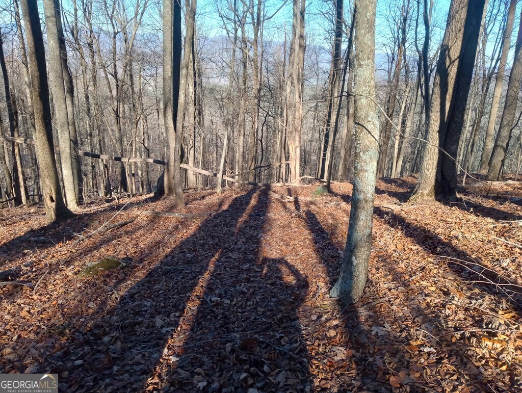 Lt M214 Walnut Ridge # M214 Property Photo 2