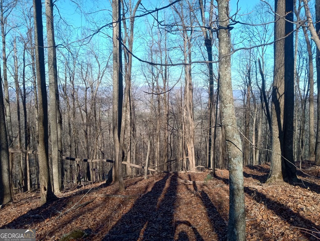 Lt M214 Walnut Ridge # M214 Property Photo 3