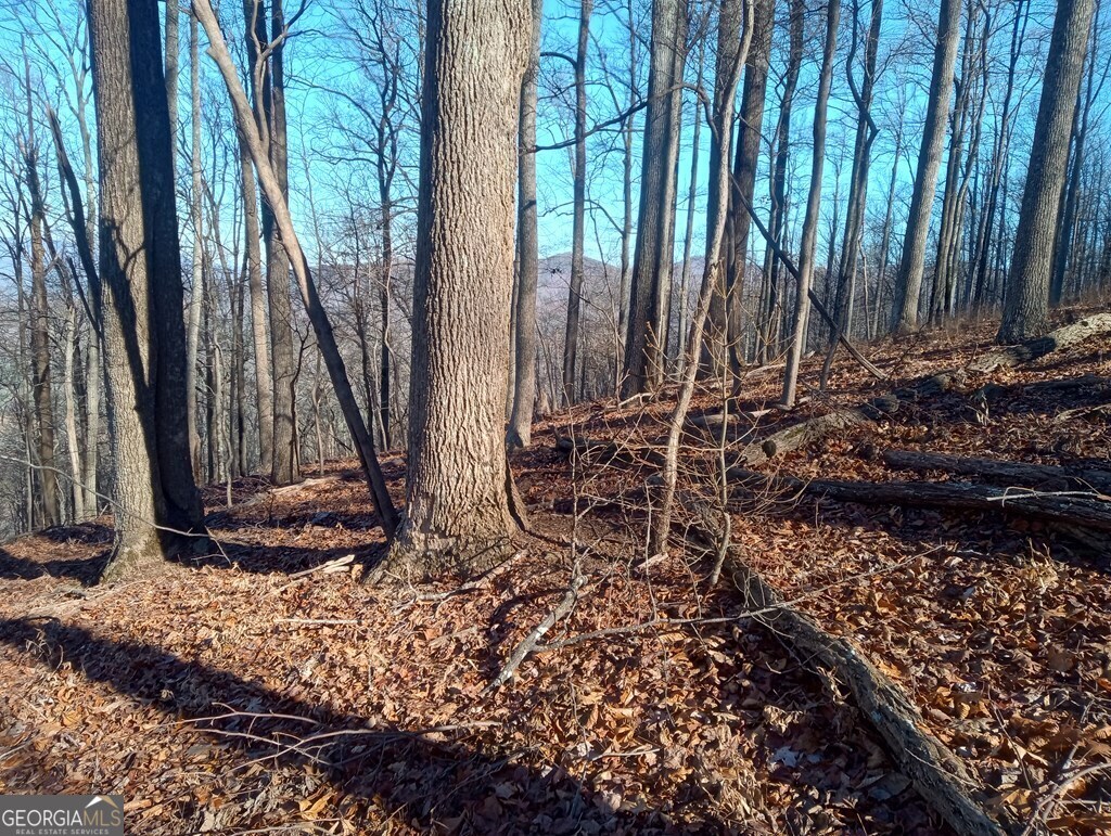 Lt M214 Walnut Ridge # M214 Property Photo 5