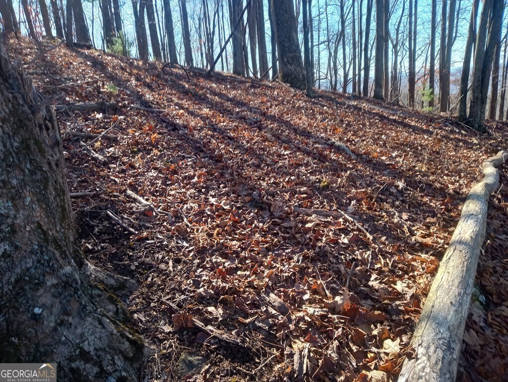 Lt M214 Walnut Ridge # M214 Property Photo 7