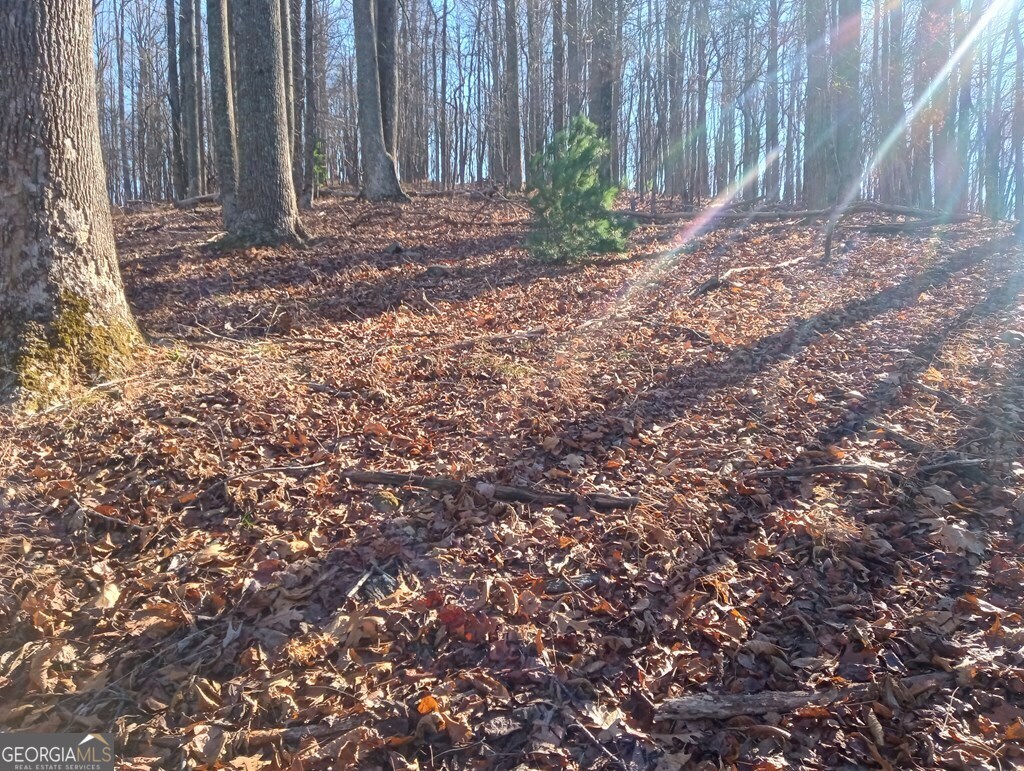 Lt M214 Walnut Ridge # M214 Property Photo 11